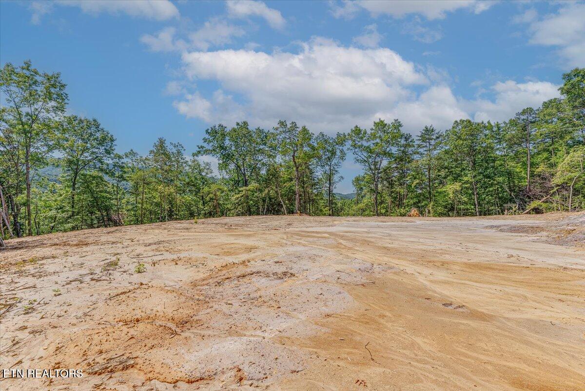 1200 Steer Creek Road Tellico Plains TN 37385