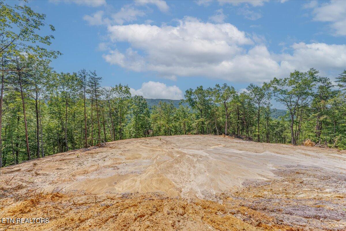 1200 Steer Creek Road Tellico Plains TN 37385