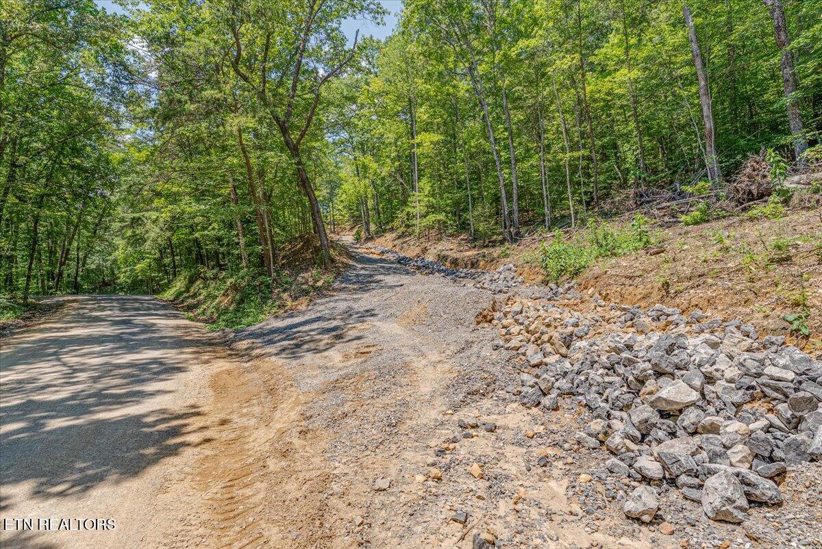 1200 Steer Creek Road Tellico Plains TN 37385