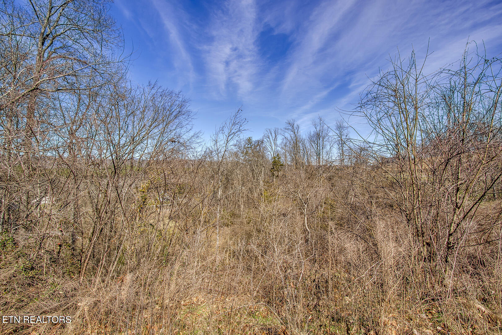 132 & 134 Black Oak Drive Oak Ridge TN 37830