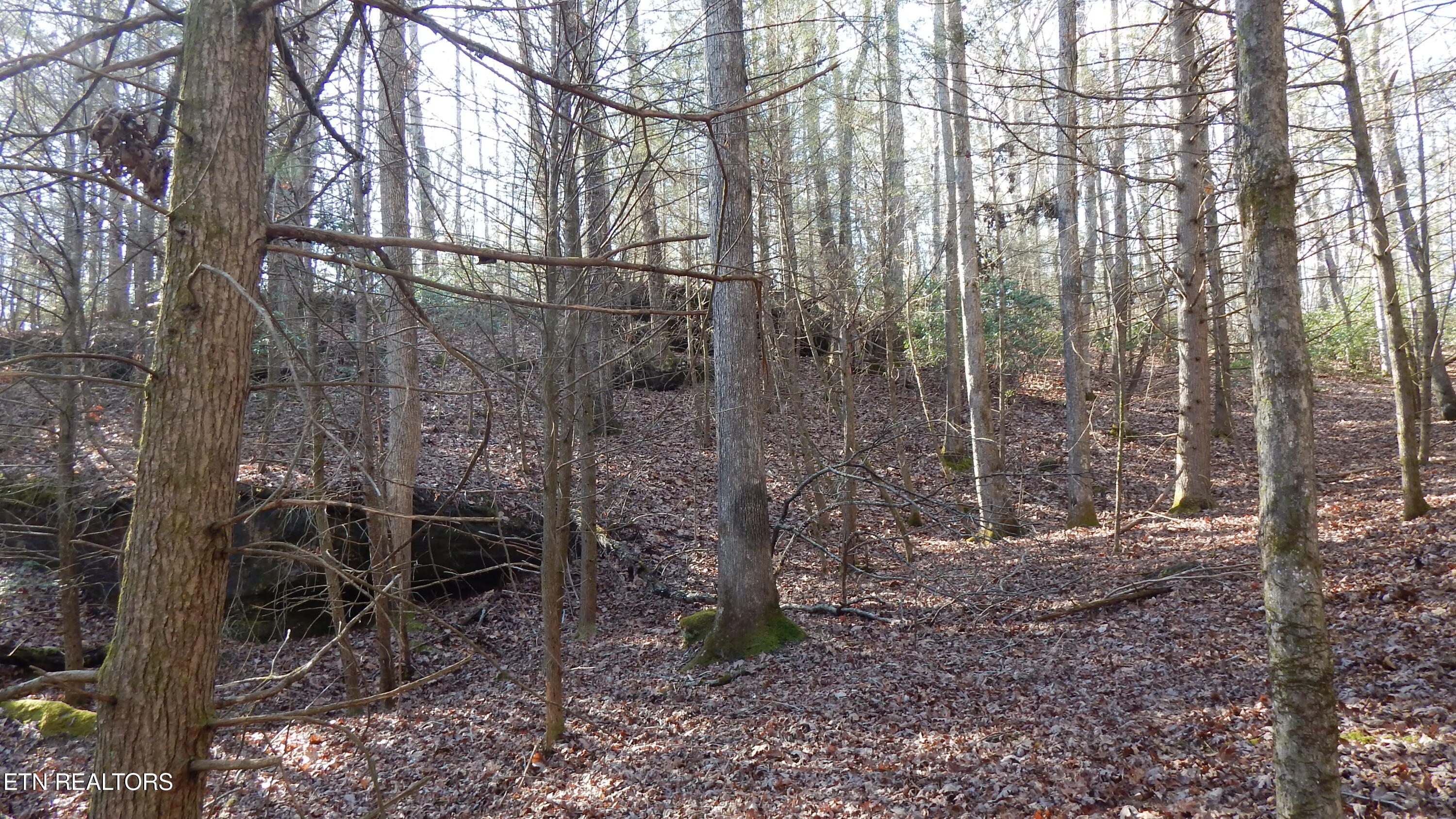 Bearpen Fork Jamestown TN 38556