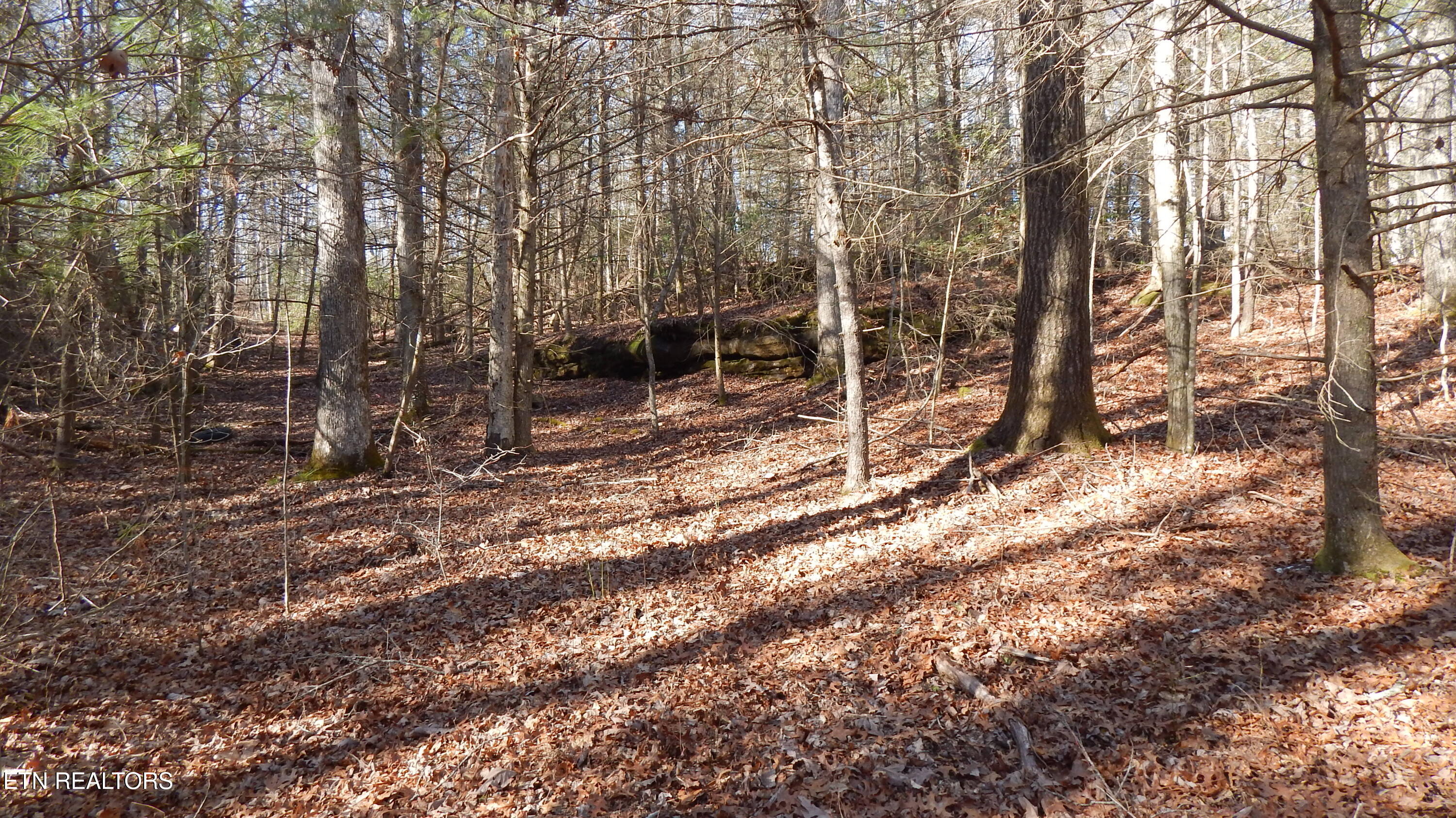 Bearpen Fork Jamestown TN 38556