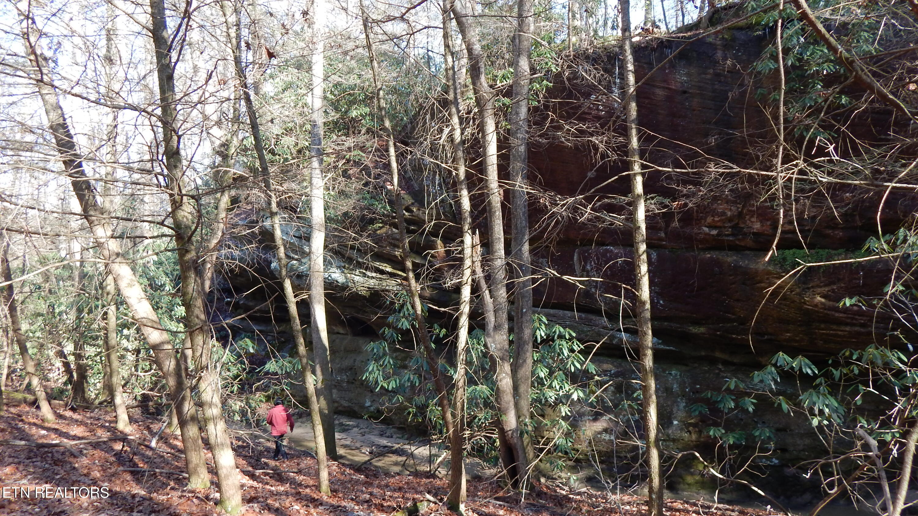 Bearpen Fork Jamestown TN 38556