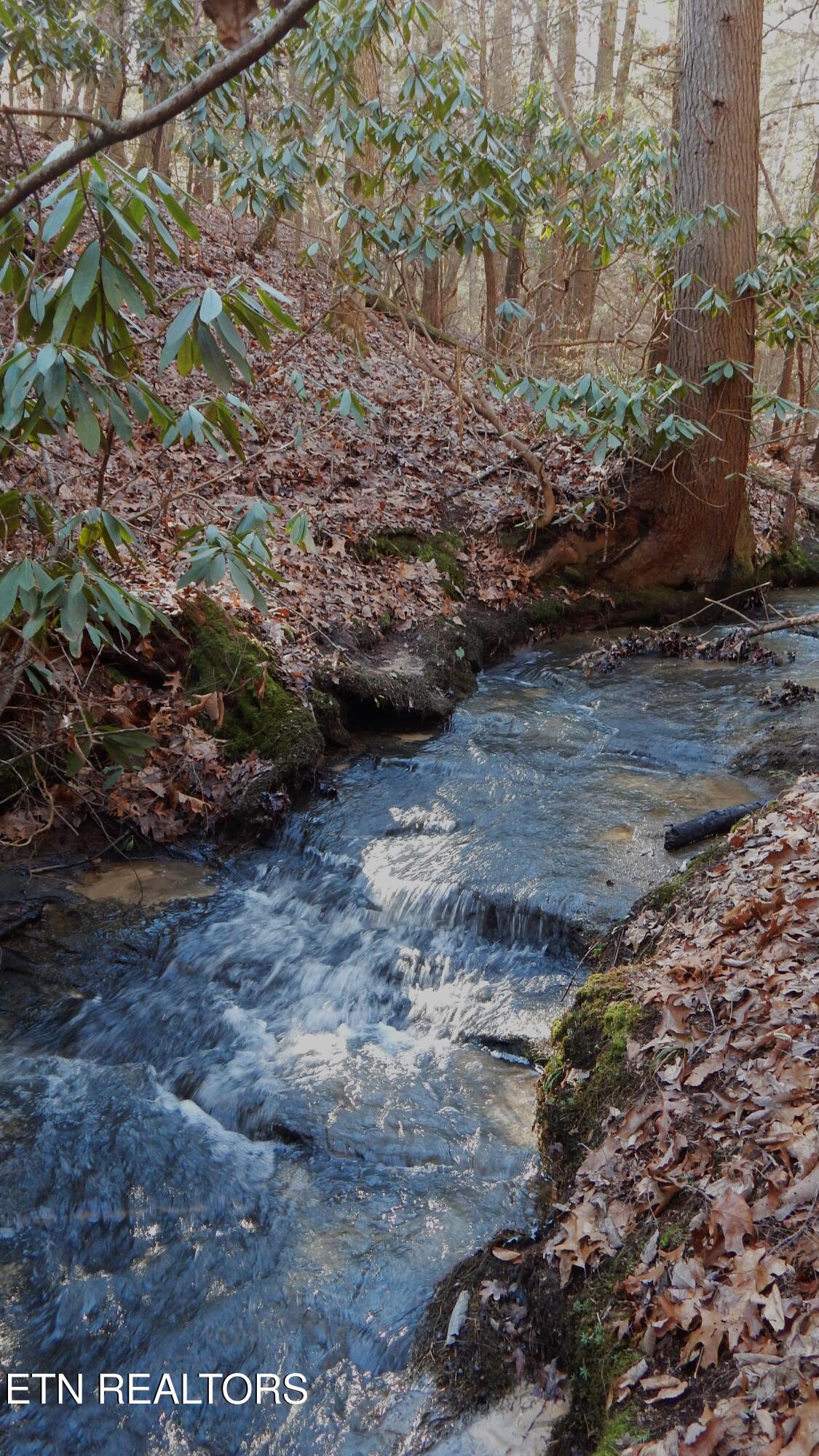 Bearpen Fork Jamestown TN 38556