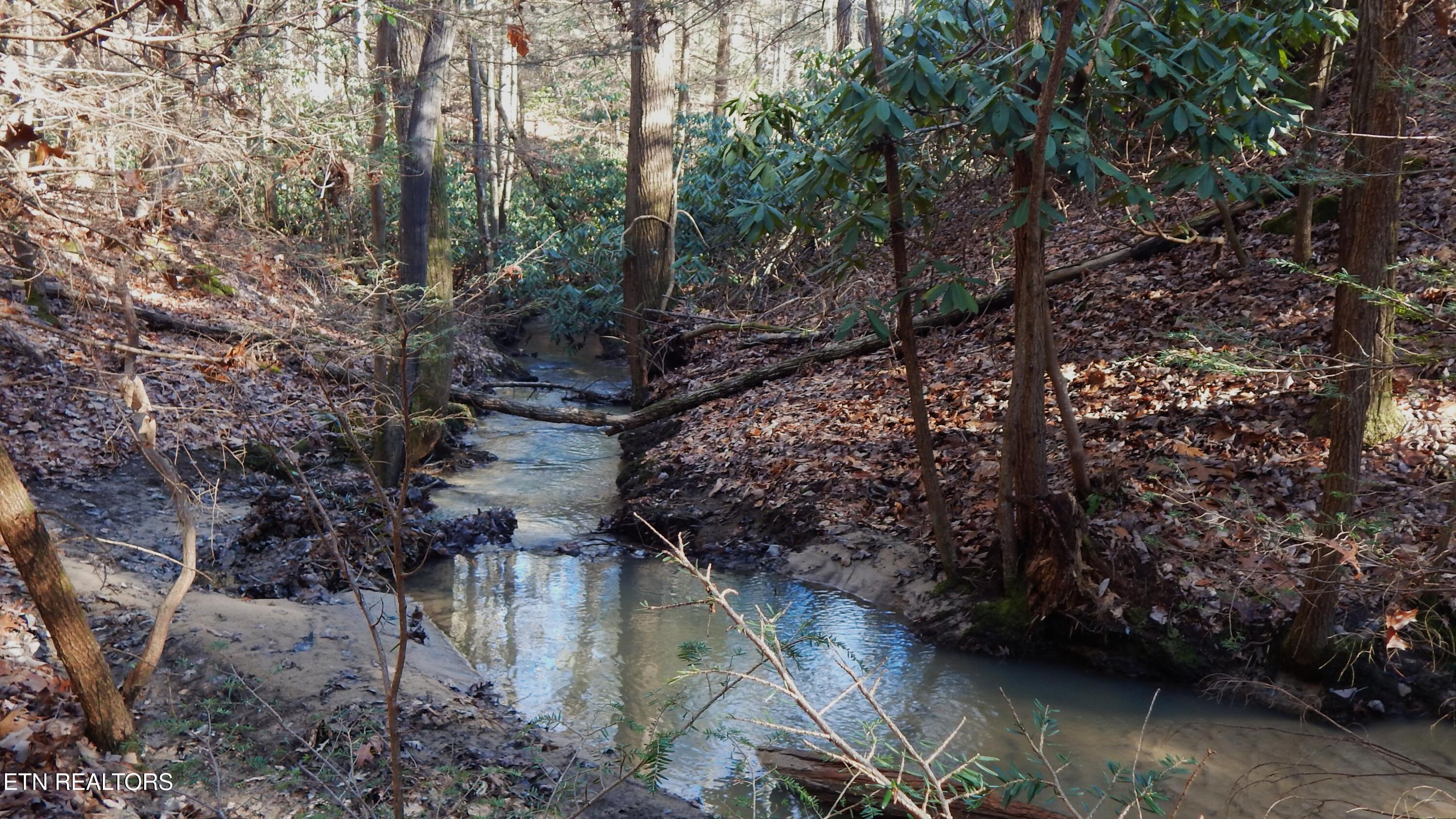 Bearpen Fork Jamestown TN 38556