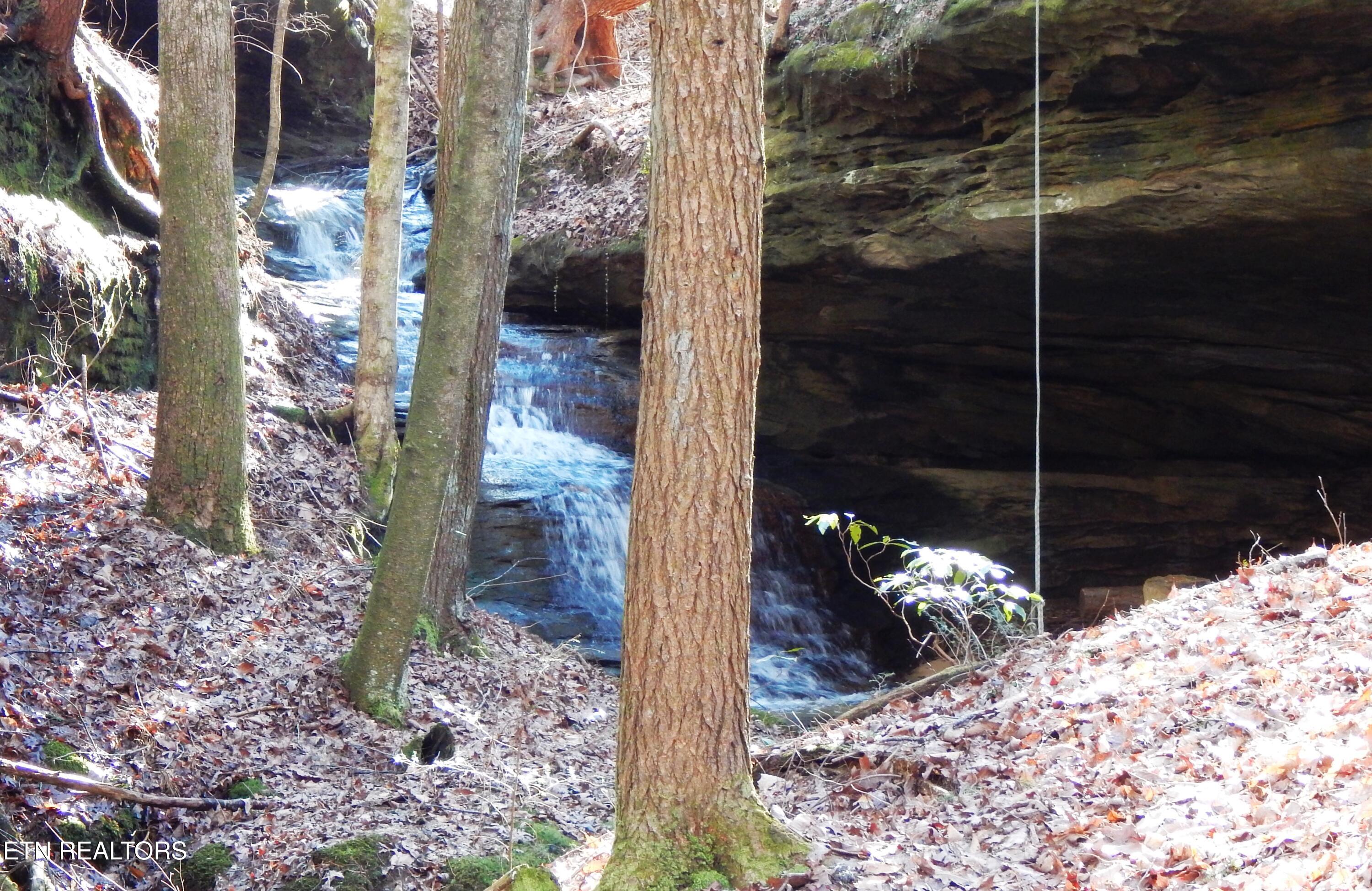 Bearpen Fork Jamestown TN 38556