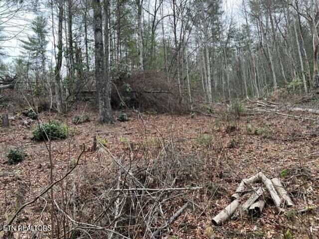 Coy Rhea Way Sevierville TN 37876