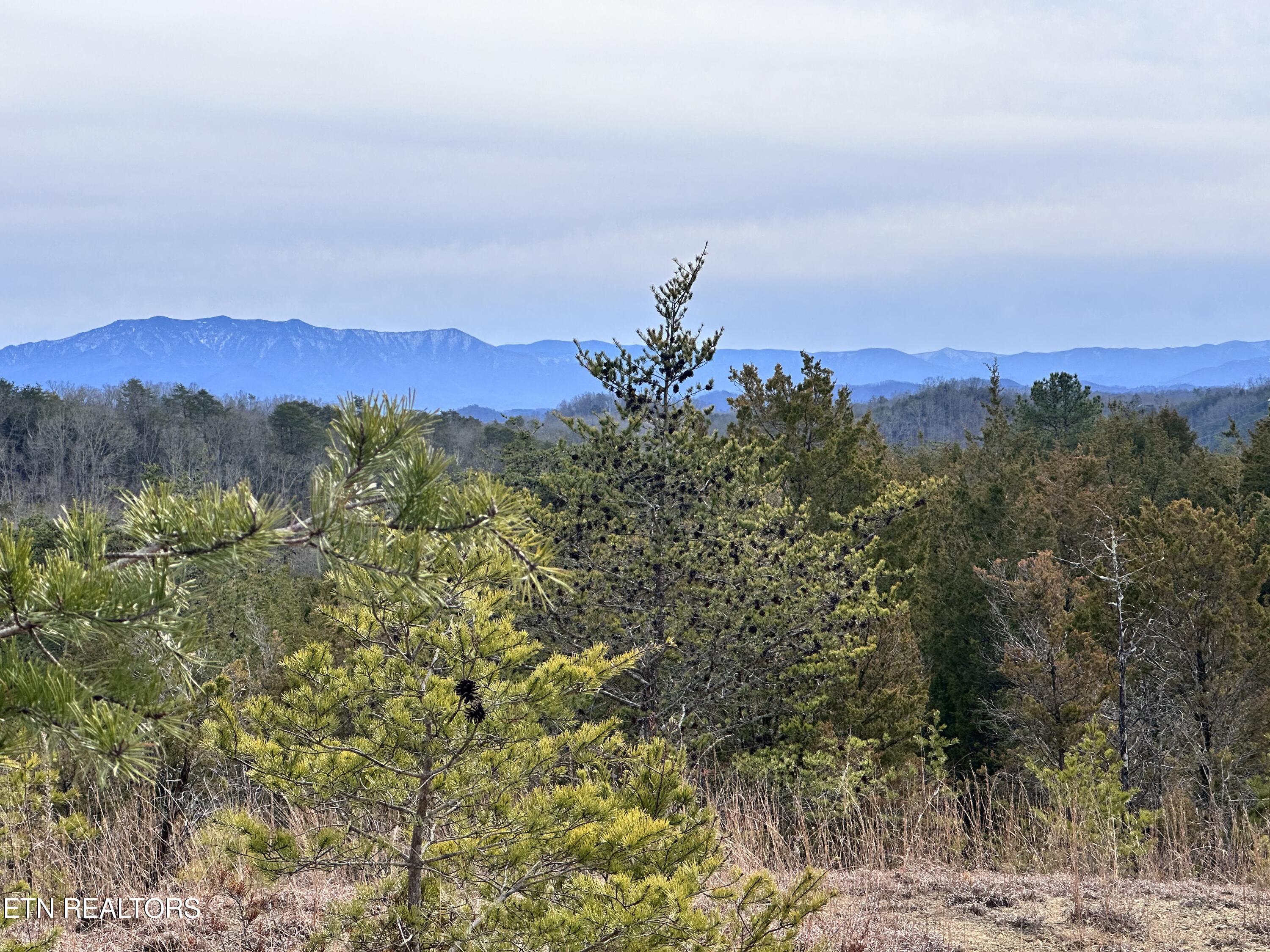 2720 Buck Horn Road Sevierville TN 37876