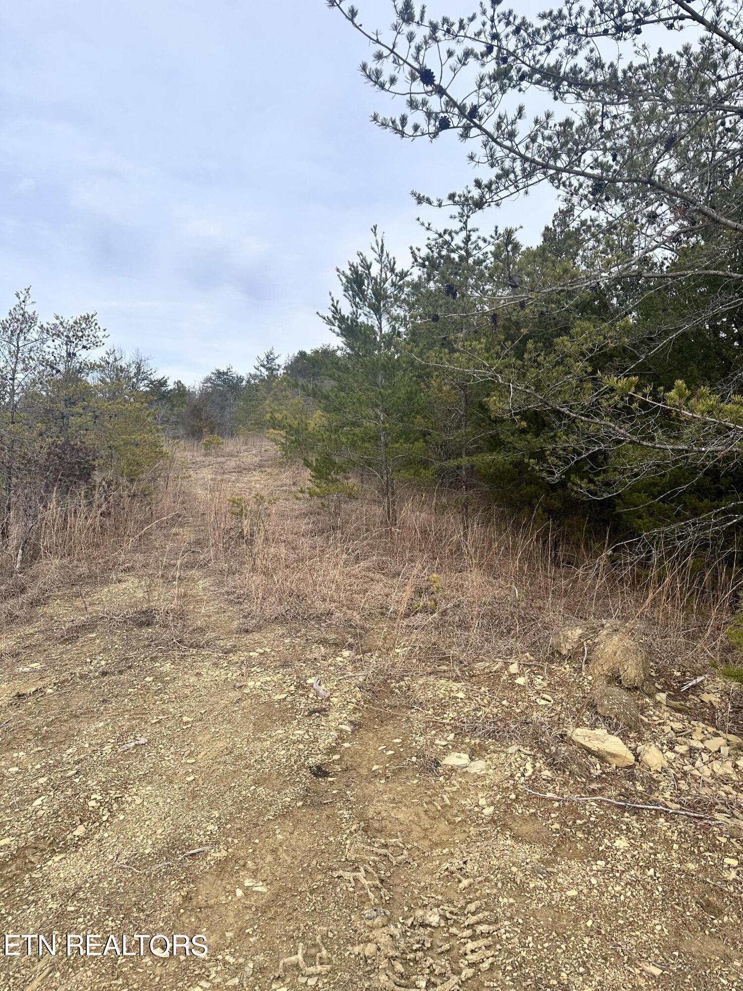 2720 Buck Horn Road Sevierville TN 37876