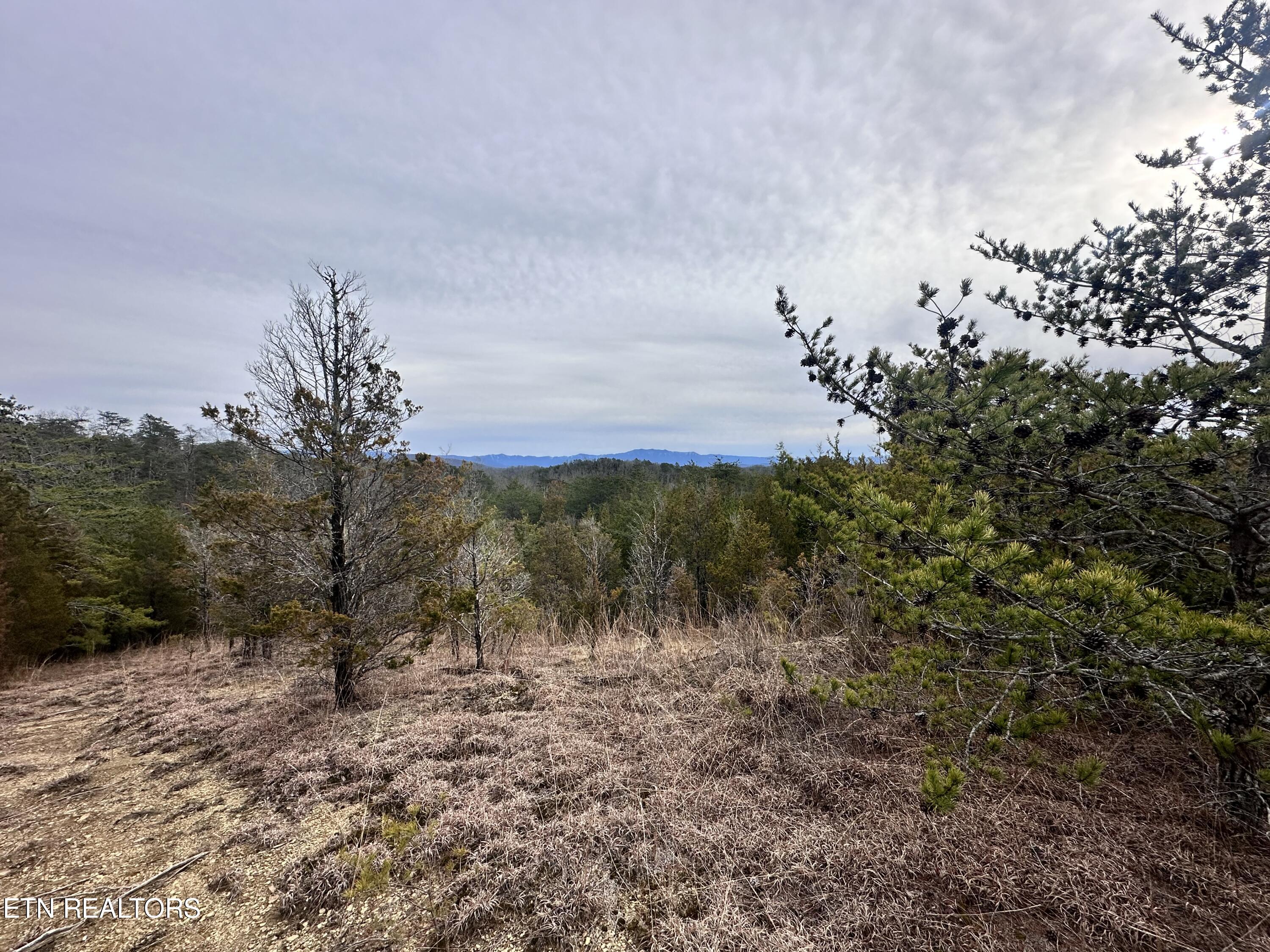 2720 Buck Horn Road Sevierville TN 37876