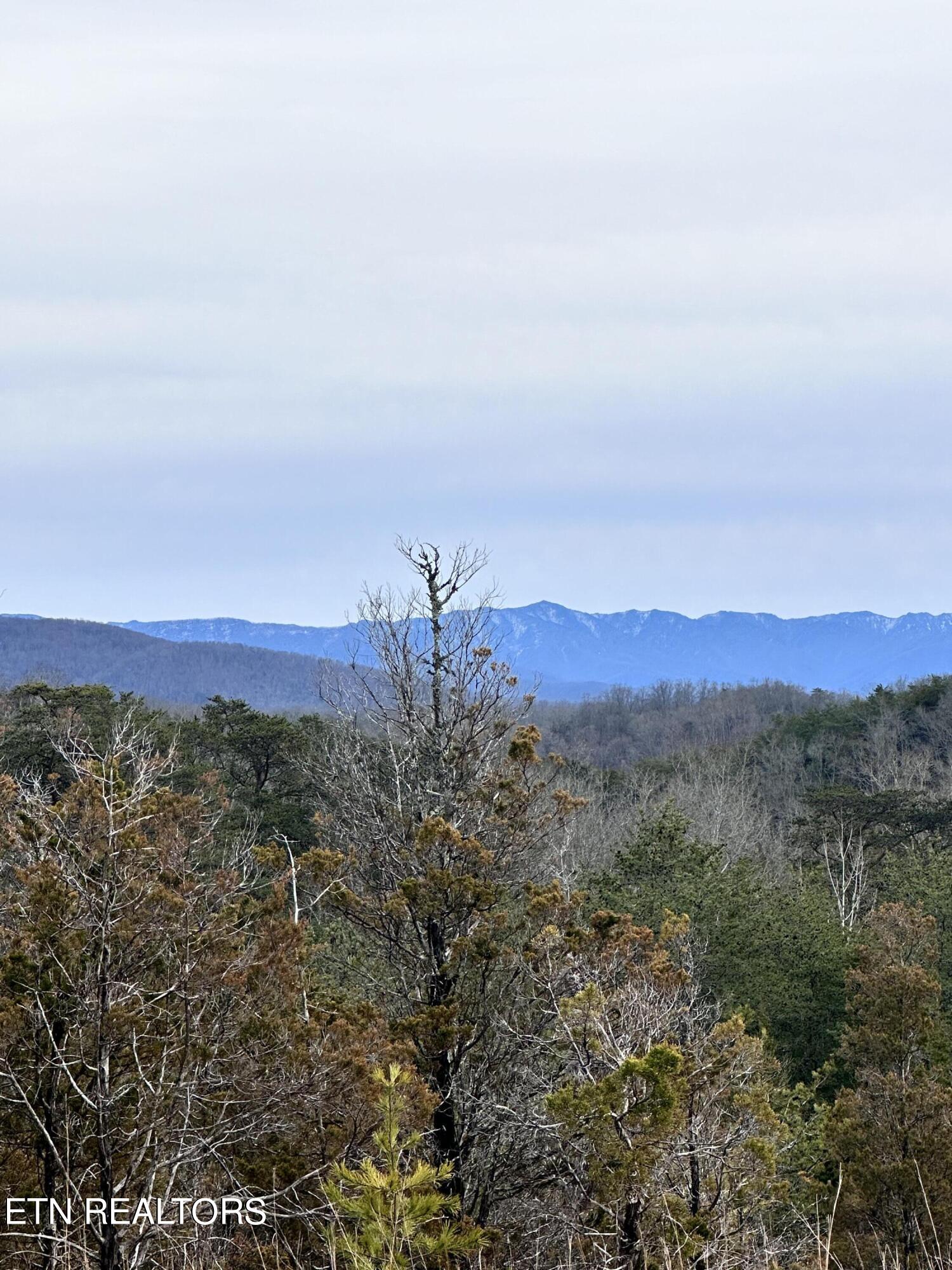 2720 Buck Horn Road Sevierville TN 37876