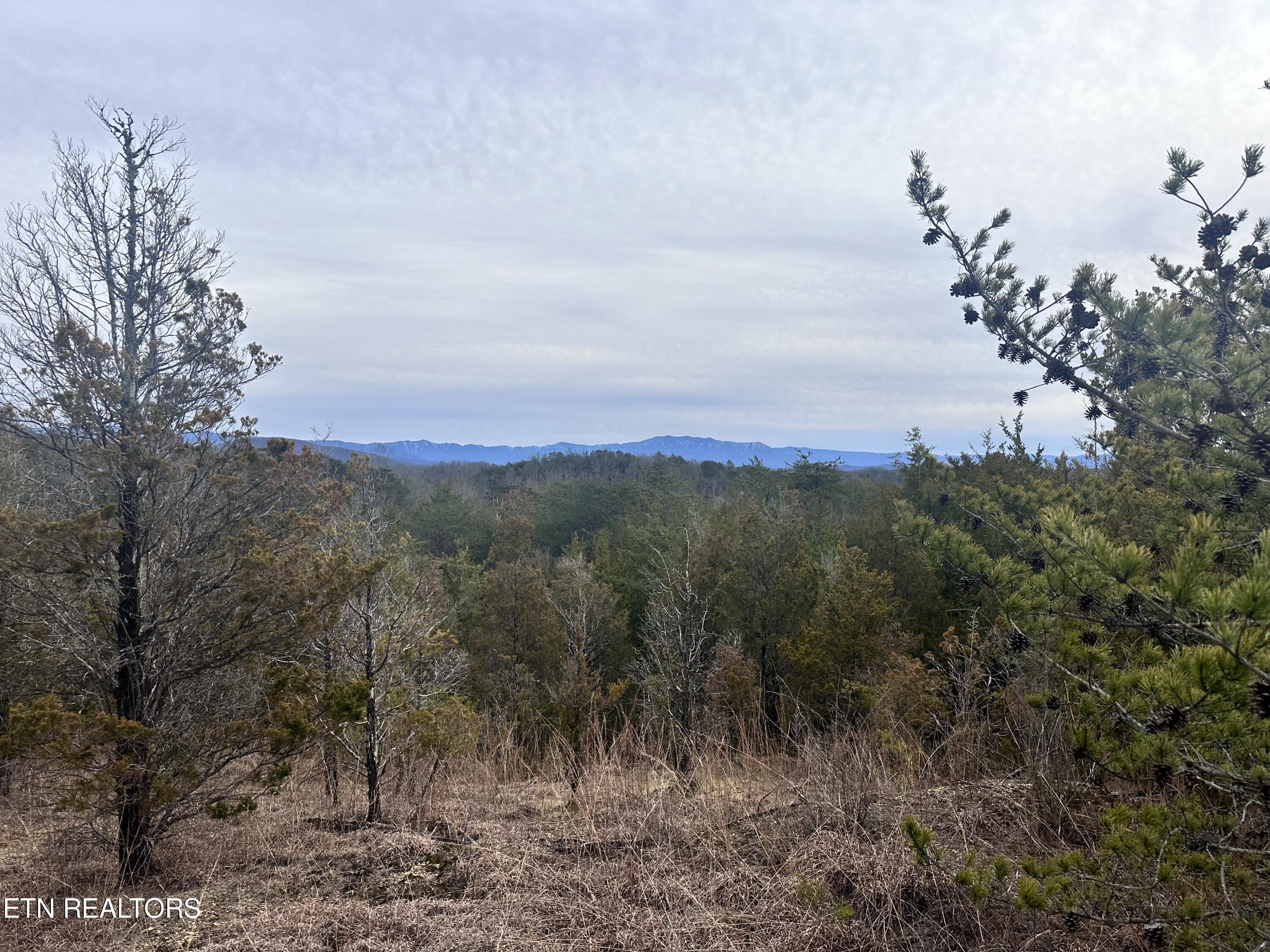 2720 Buck Horn Road Sevierville TN 37876
