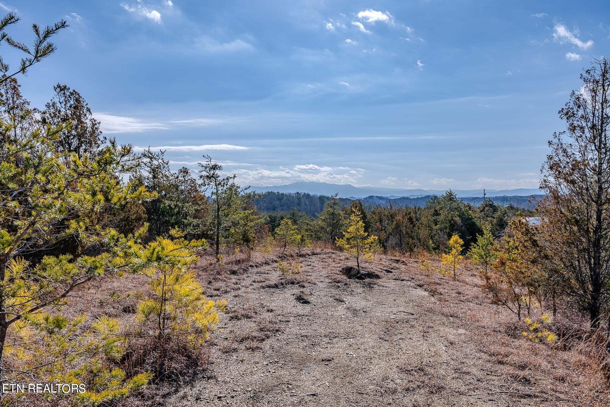 2720 Buck Horn Road Sevierville TN 37876