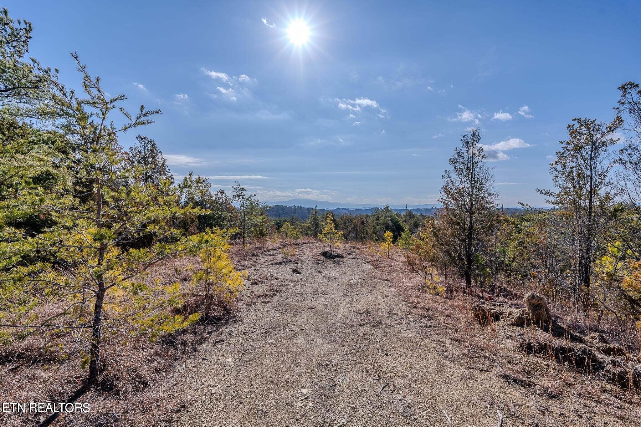 2720 Buck Horn Road Sevierville TN 37876