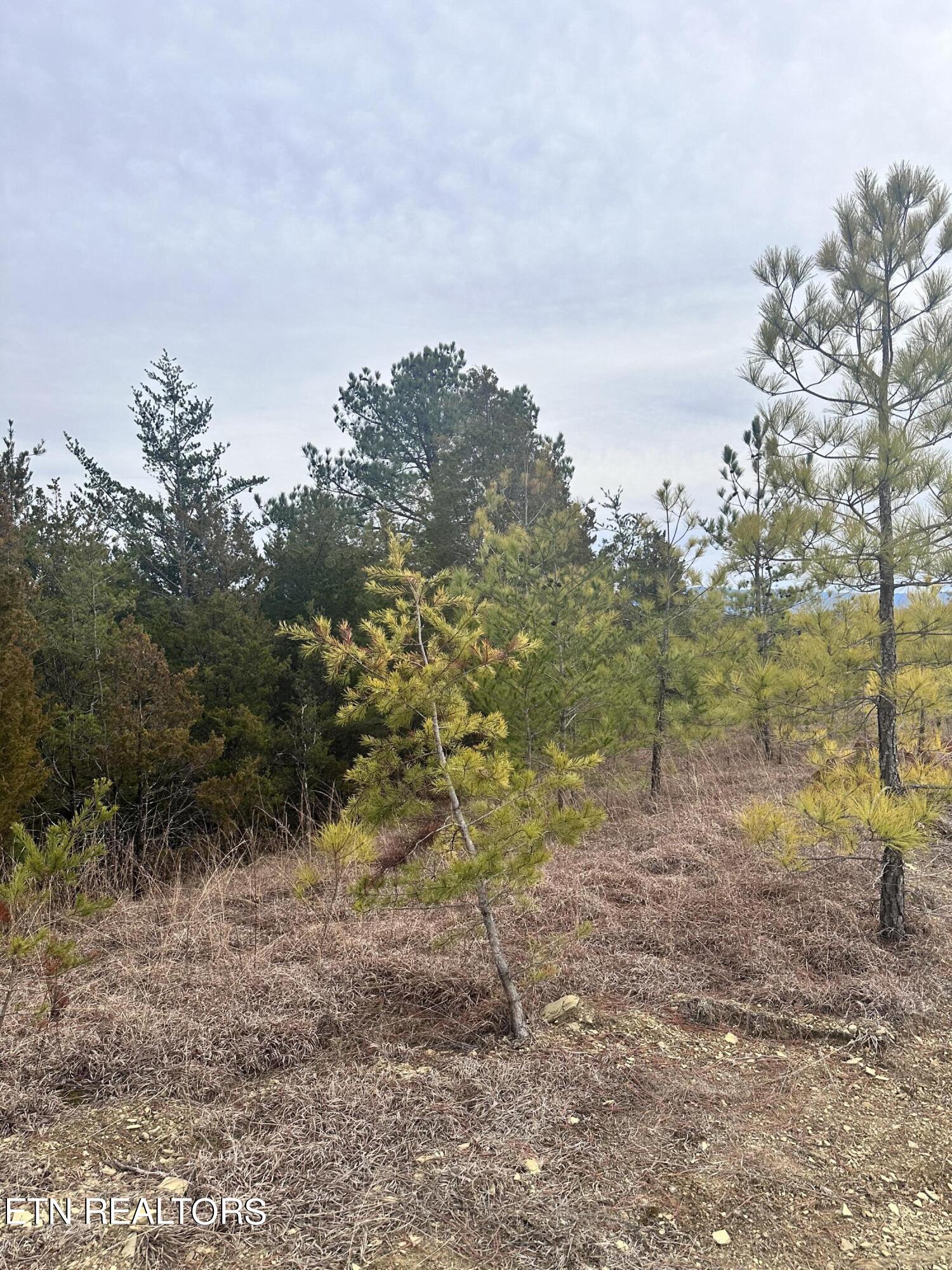 2720 Buck Horn Road Sevierville TN 37876