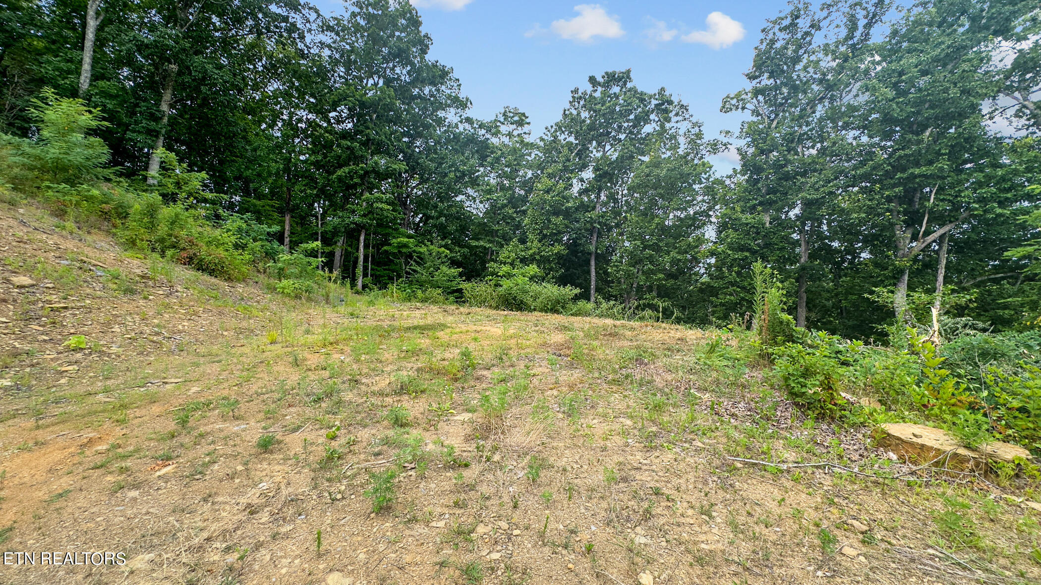 2345 Paradise Way Sevierville TN 37876