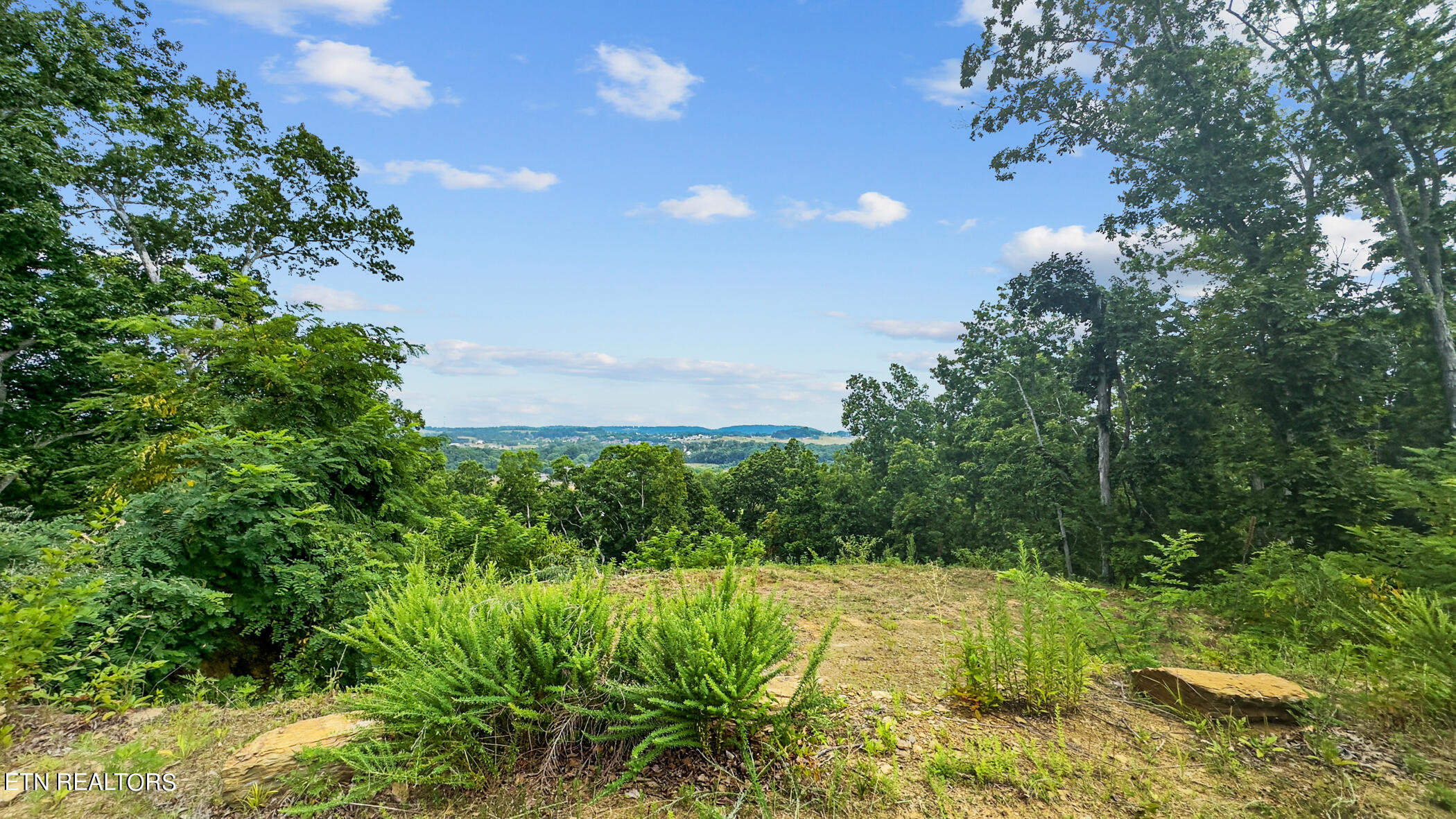 2345 Paradise Way Sevierville TN 37876