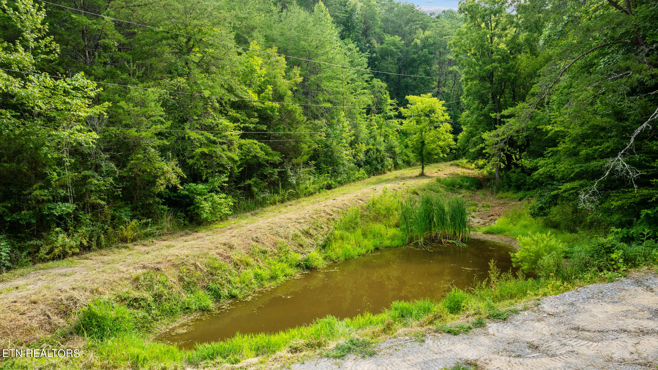 2345 Paradise Way Sevierville TN 37876