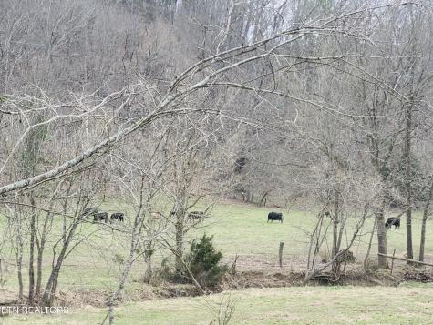 4299 W Andrew Johnson Highway Greeneville TN 37745