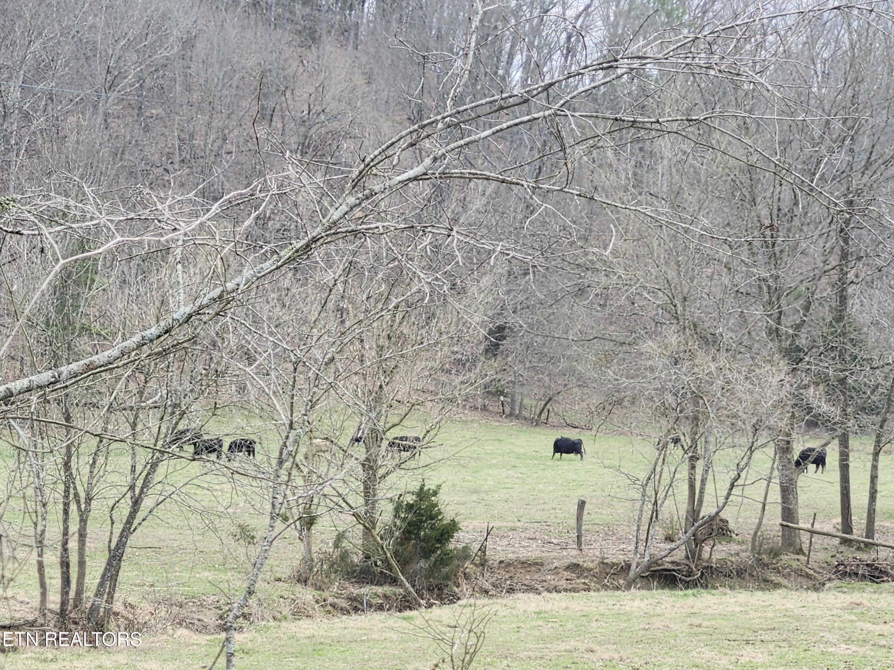 4299 W Andrew Johnson Highway Greeneville TN 37745