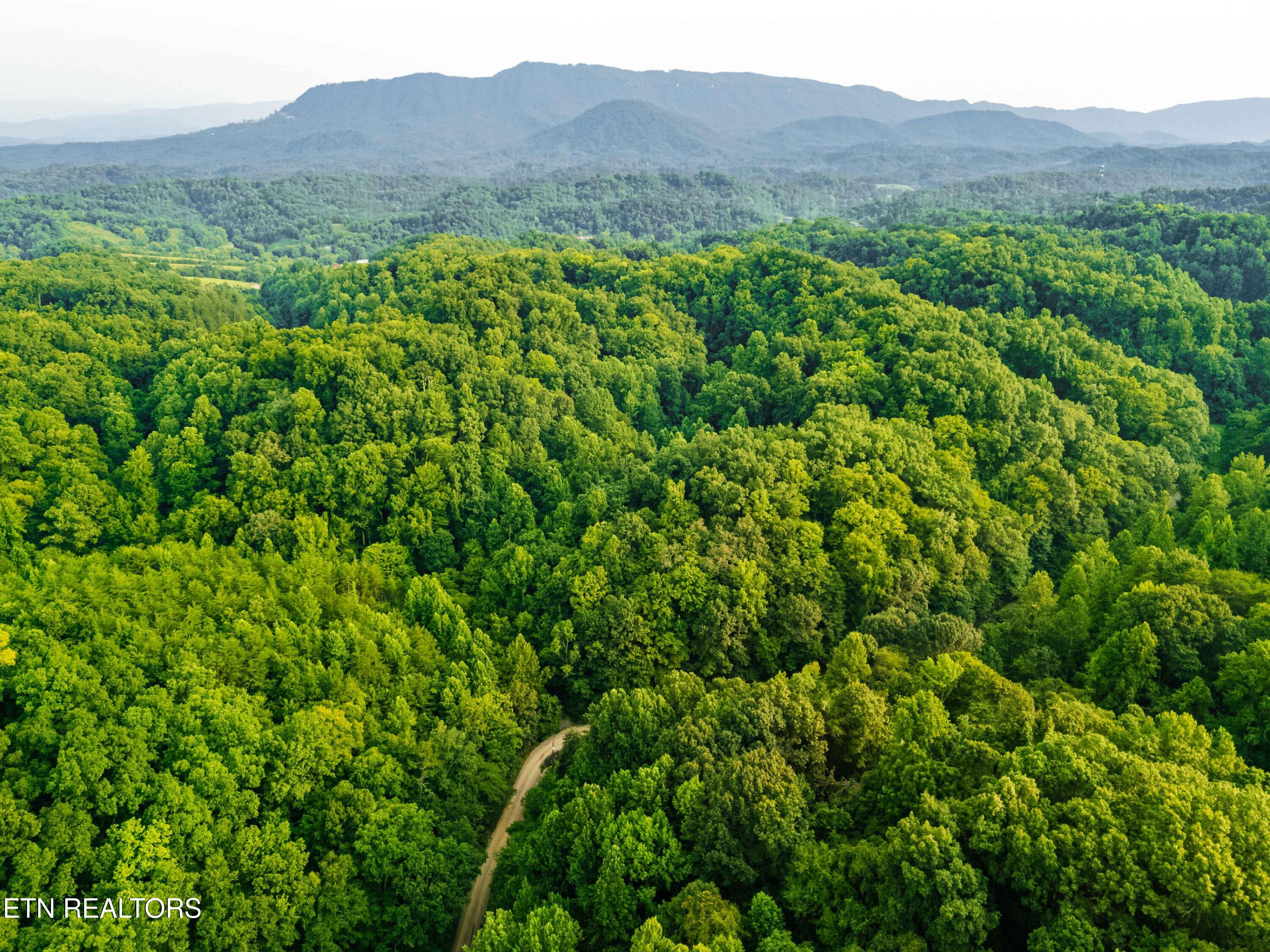 0 Long Branch Road Seymour TN 37865