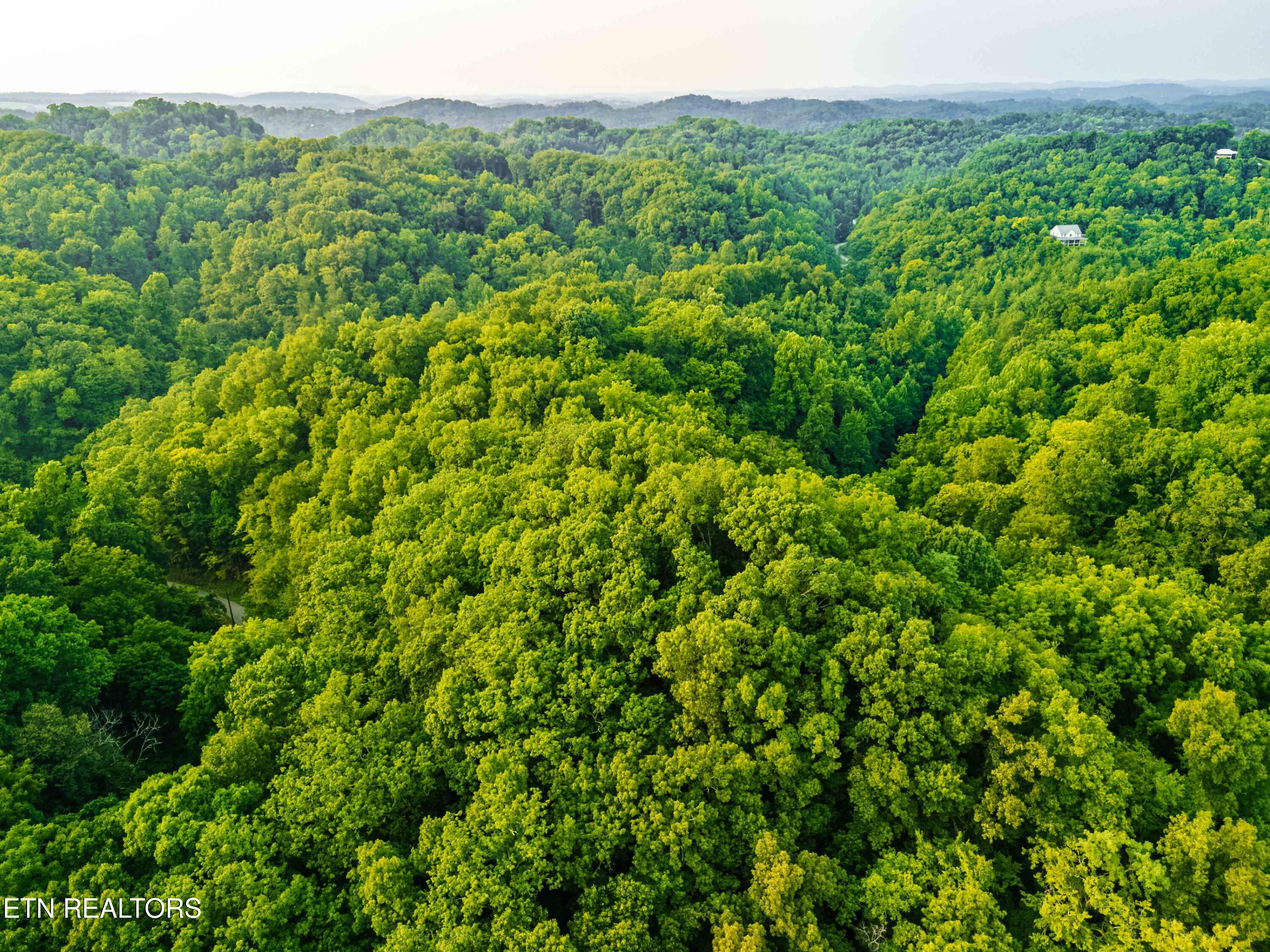 0 Long Branch Road Seymour TN 37865