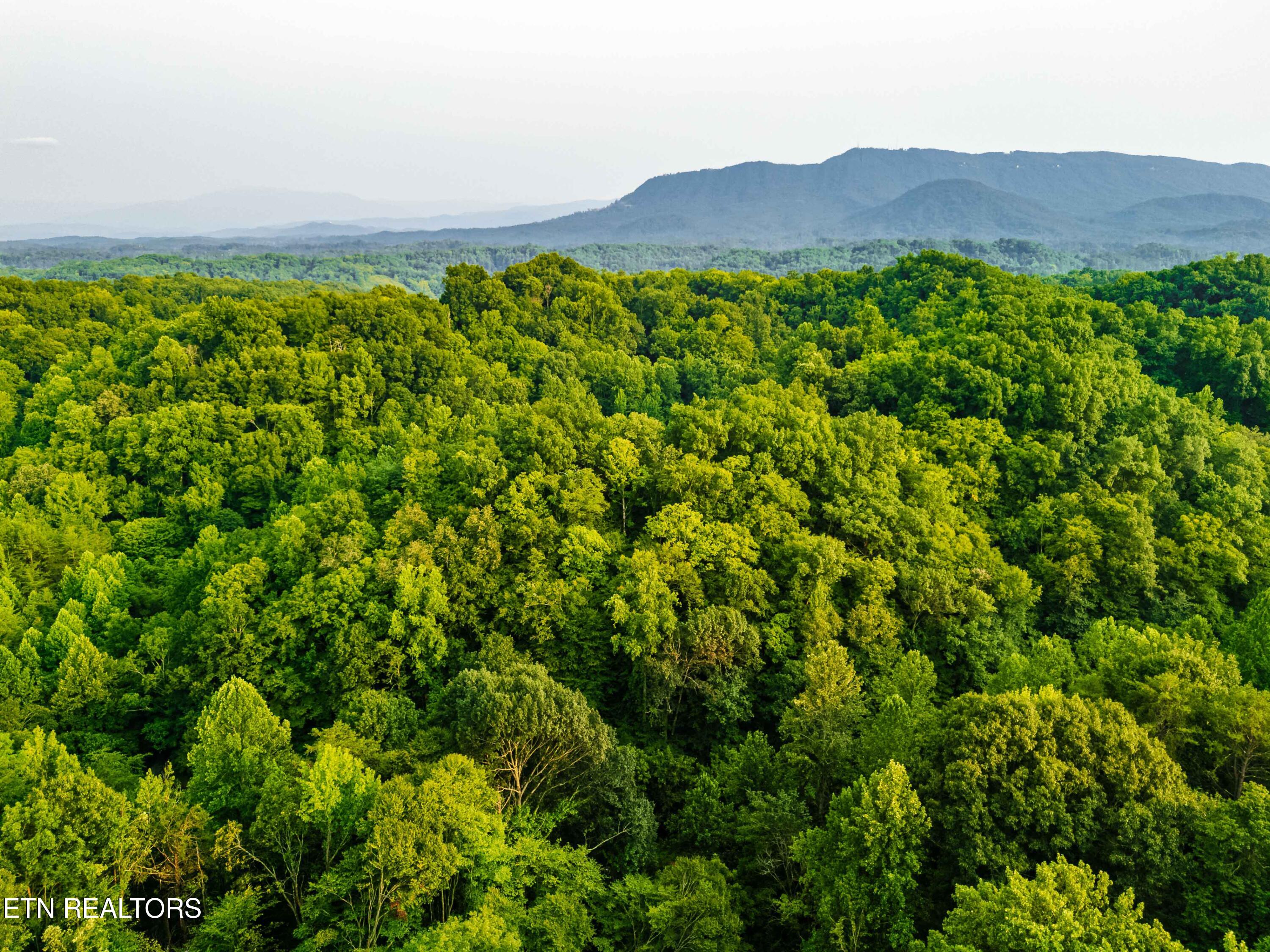 0 Long Branch Road Seymour TN 37865