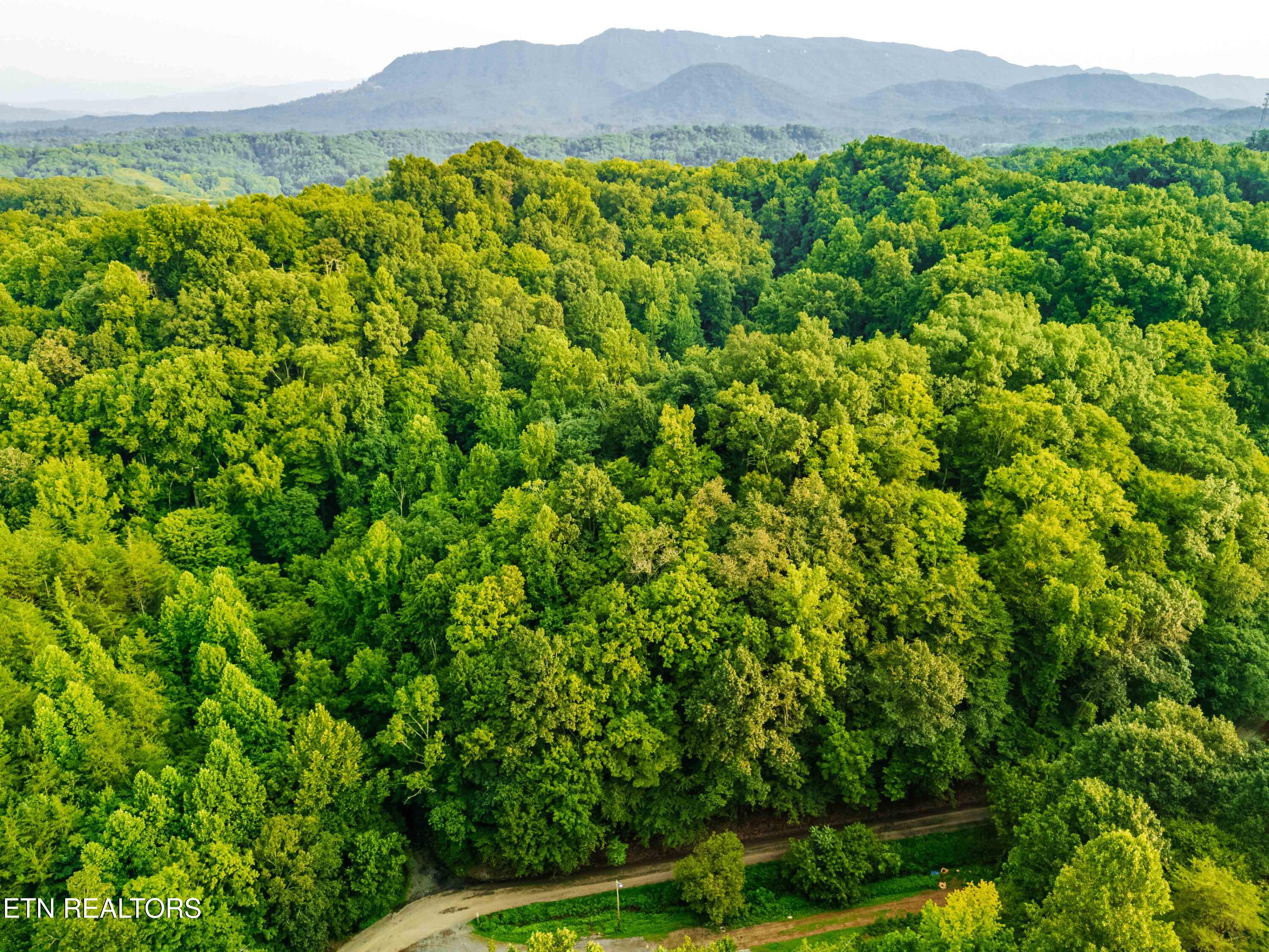0 Long Branch Road Seymour TN 37865