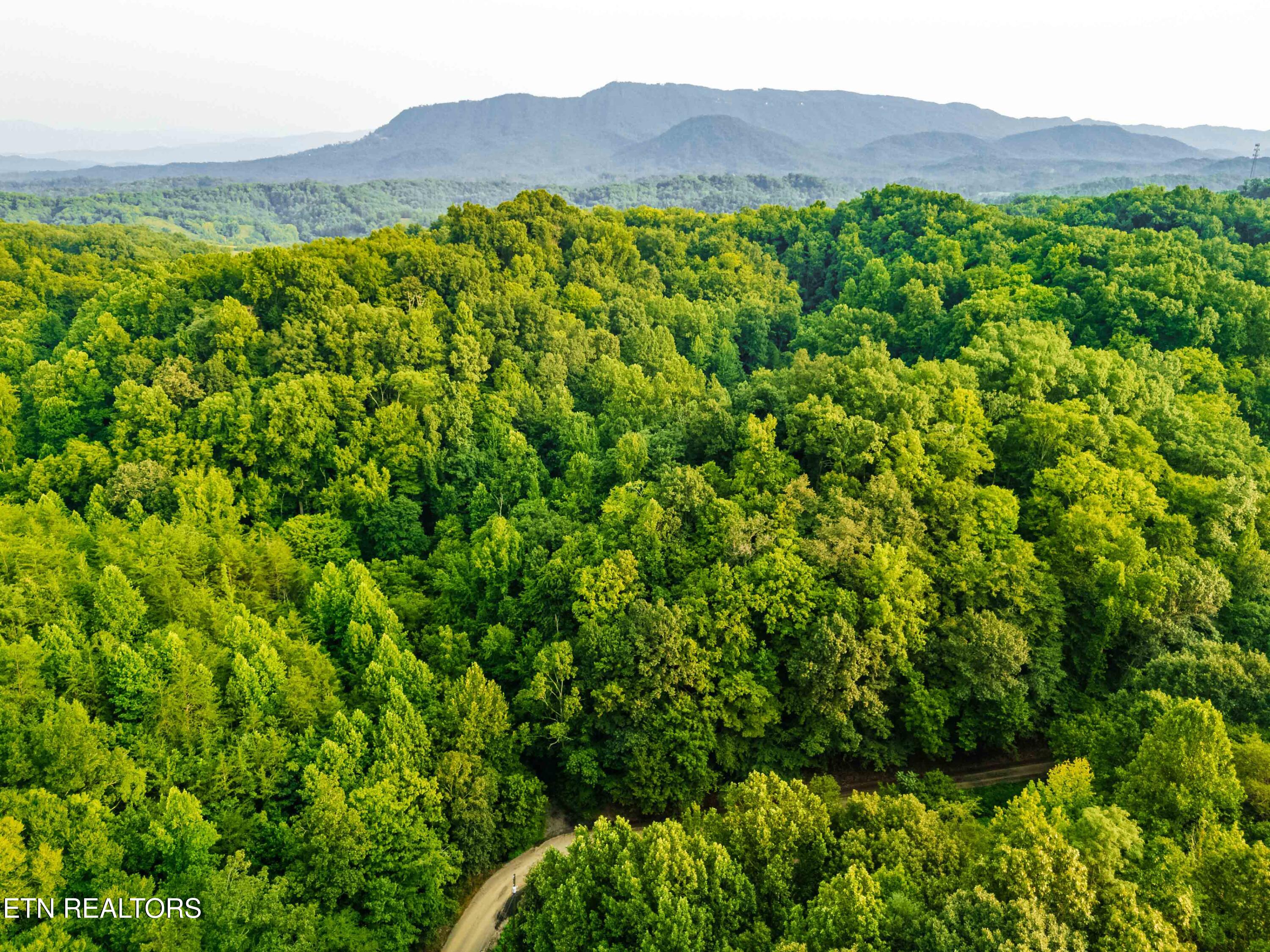 0 Long Branch Road Seymour TN 37865