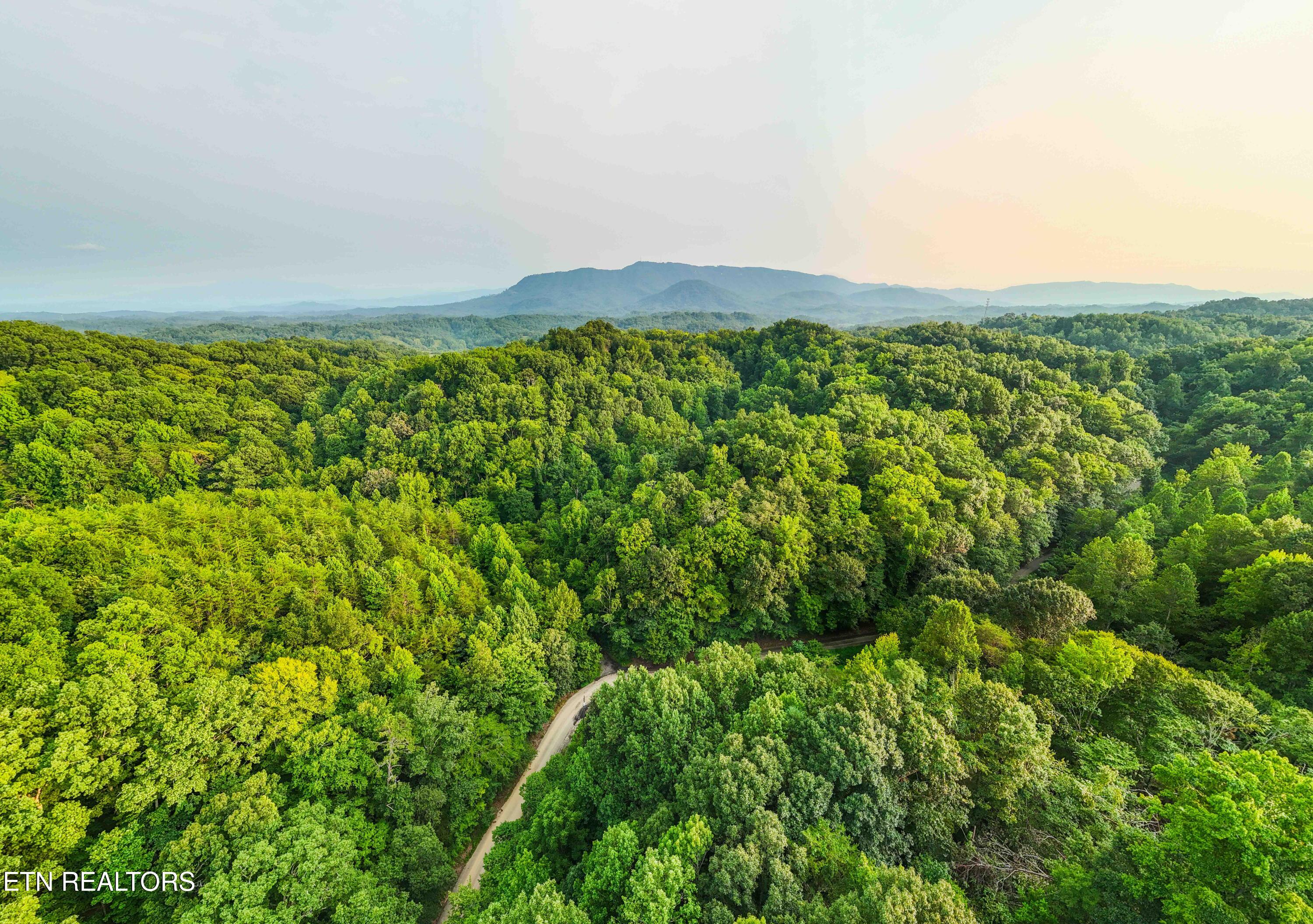 0 Long Branch Road Seymour TN 37865