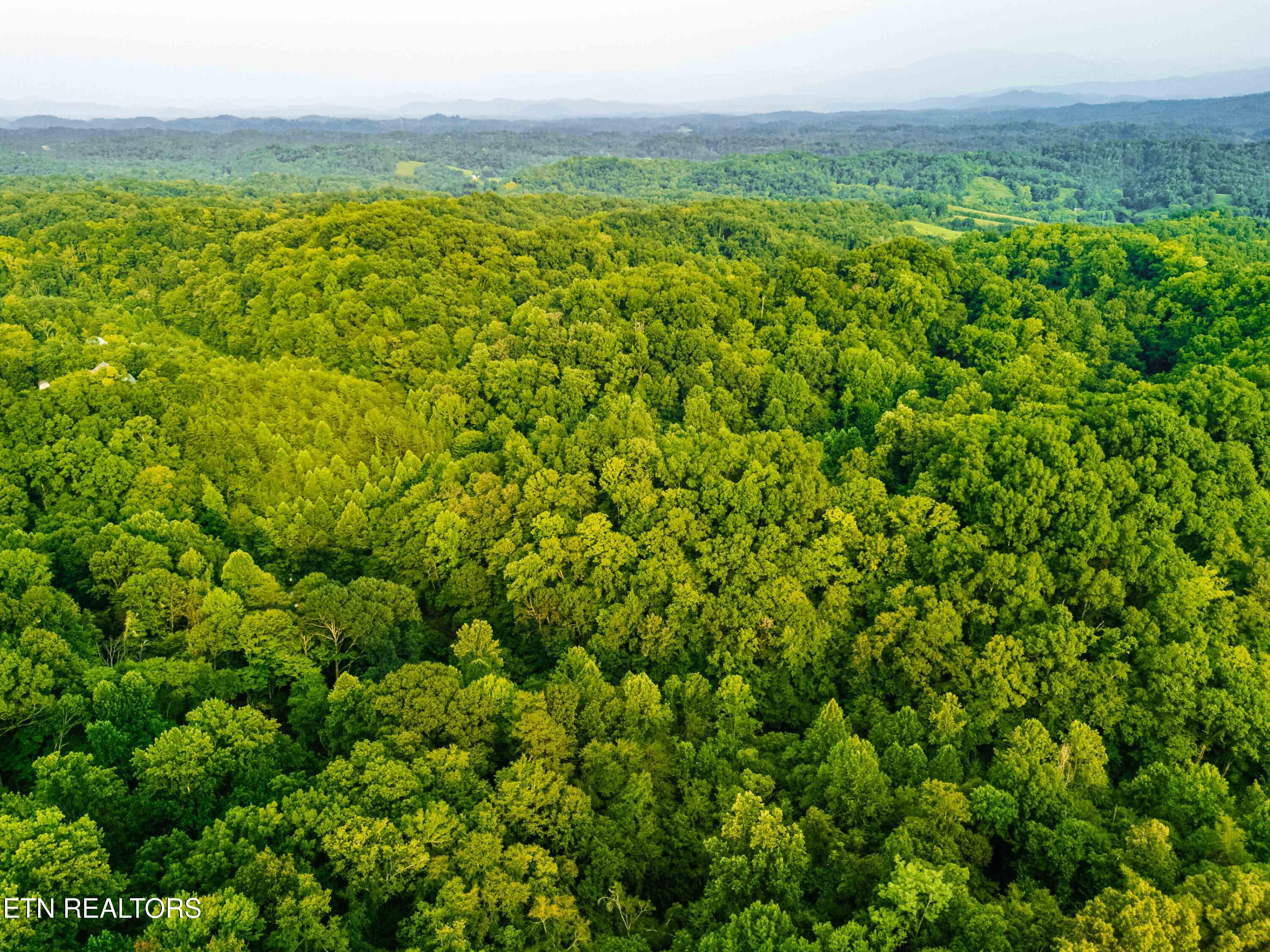 0 Long Branch Road Seymour TN 37865