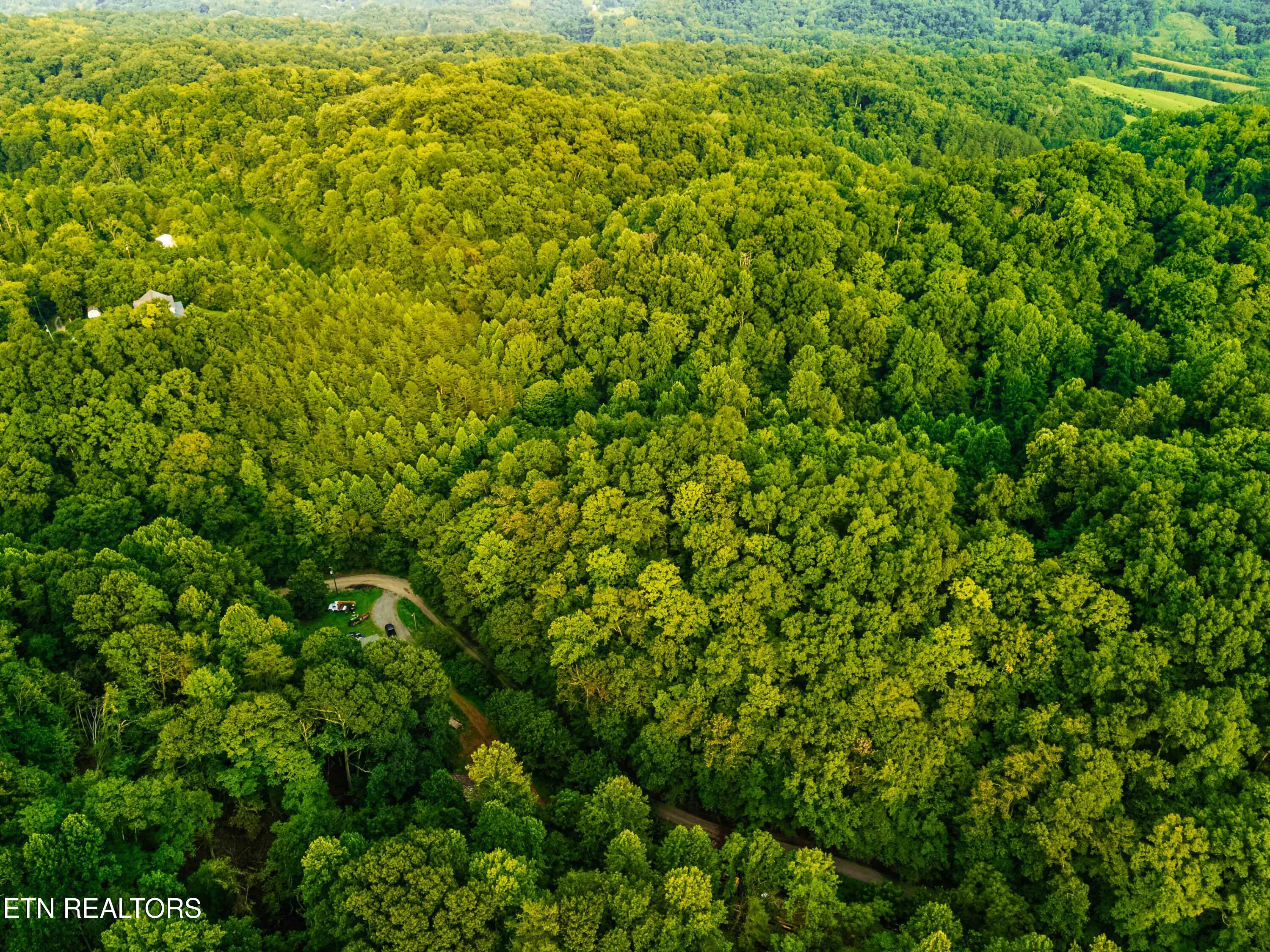 0 Long Branch Road Seymour TN 37865