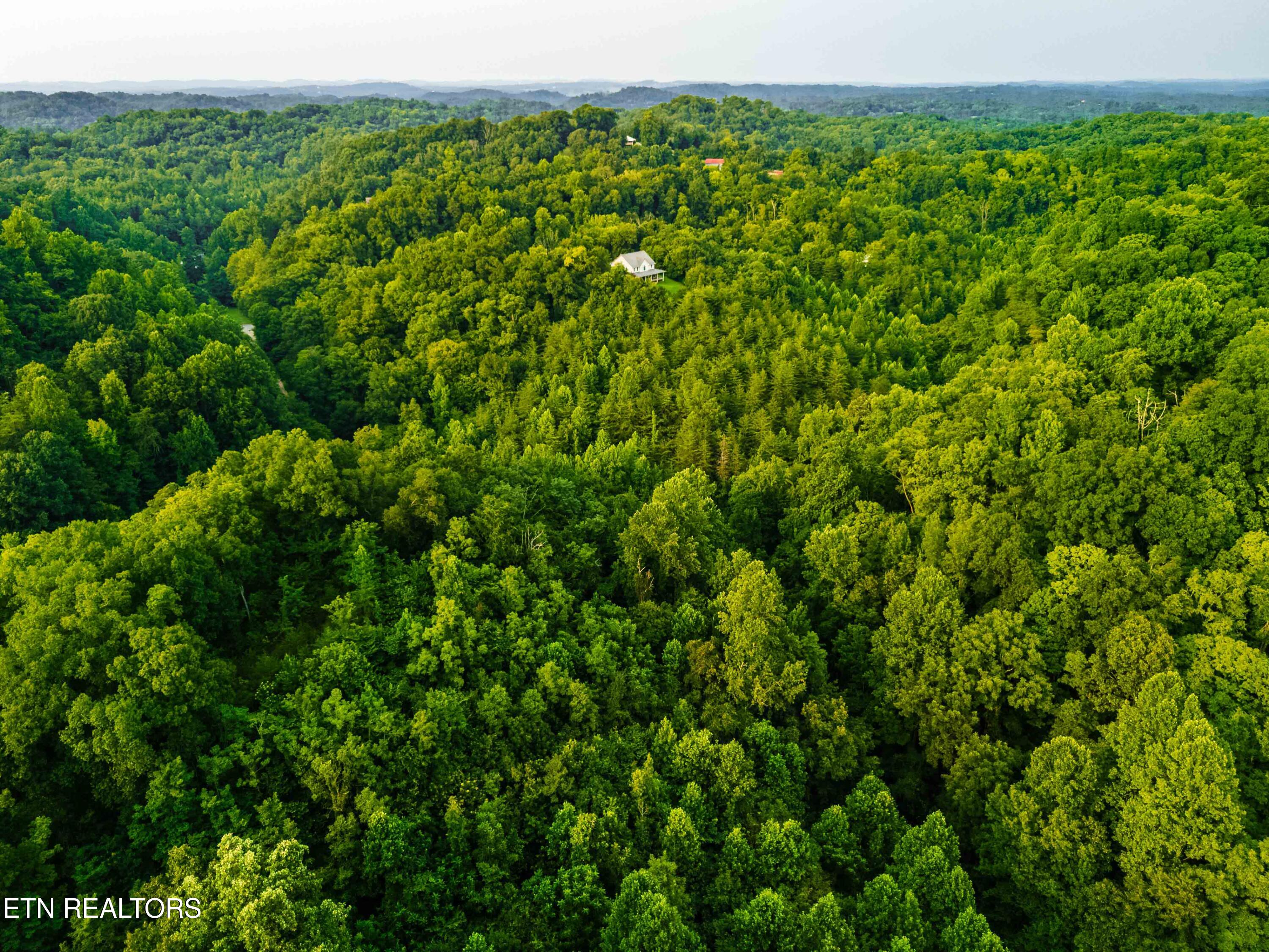 0 Long Branch Road Seymour TN 37865