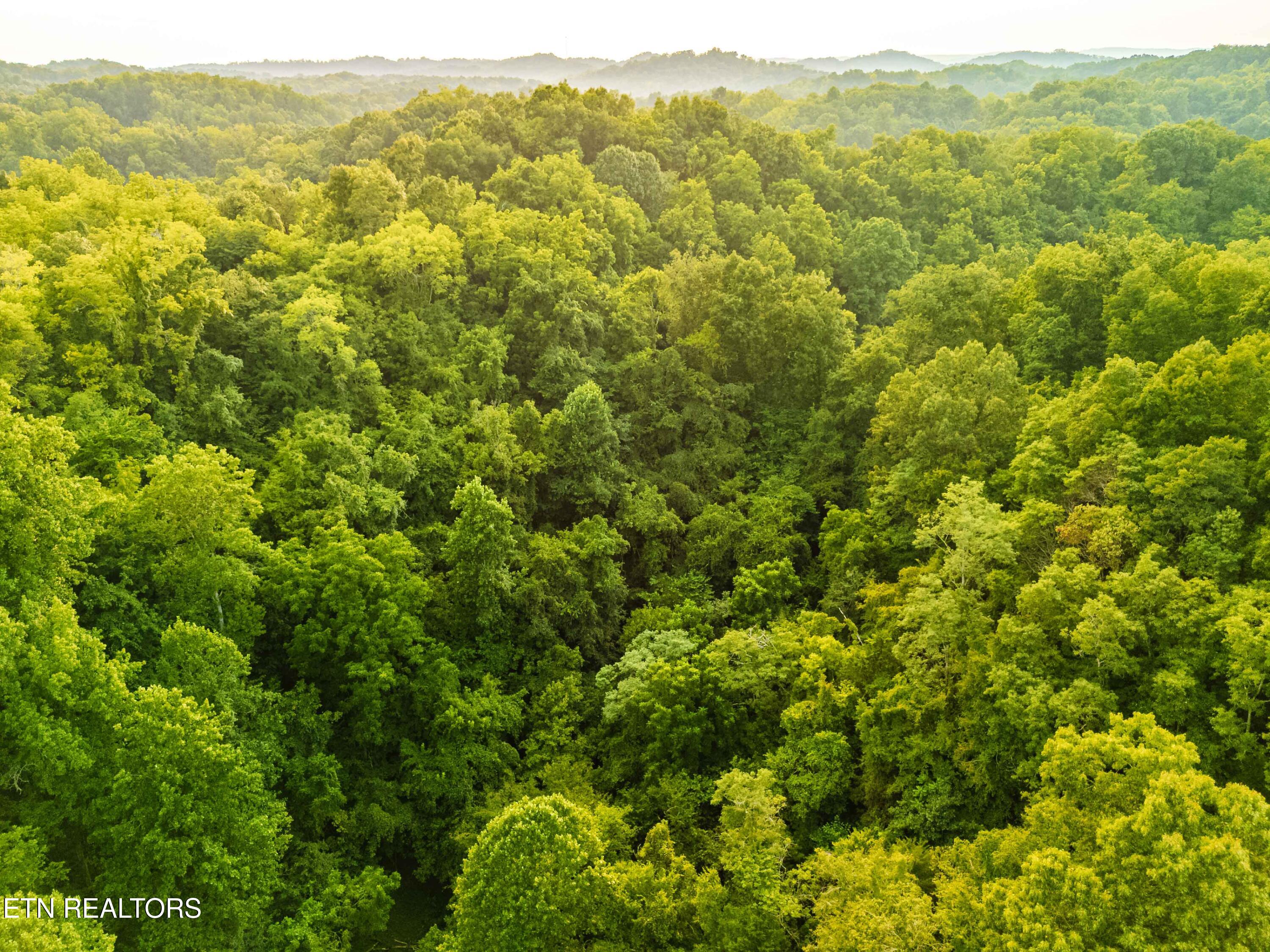 0 Long Branch Road Seymour TN 37865