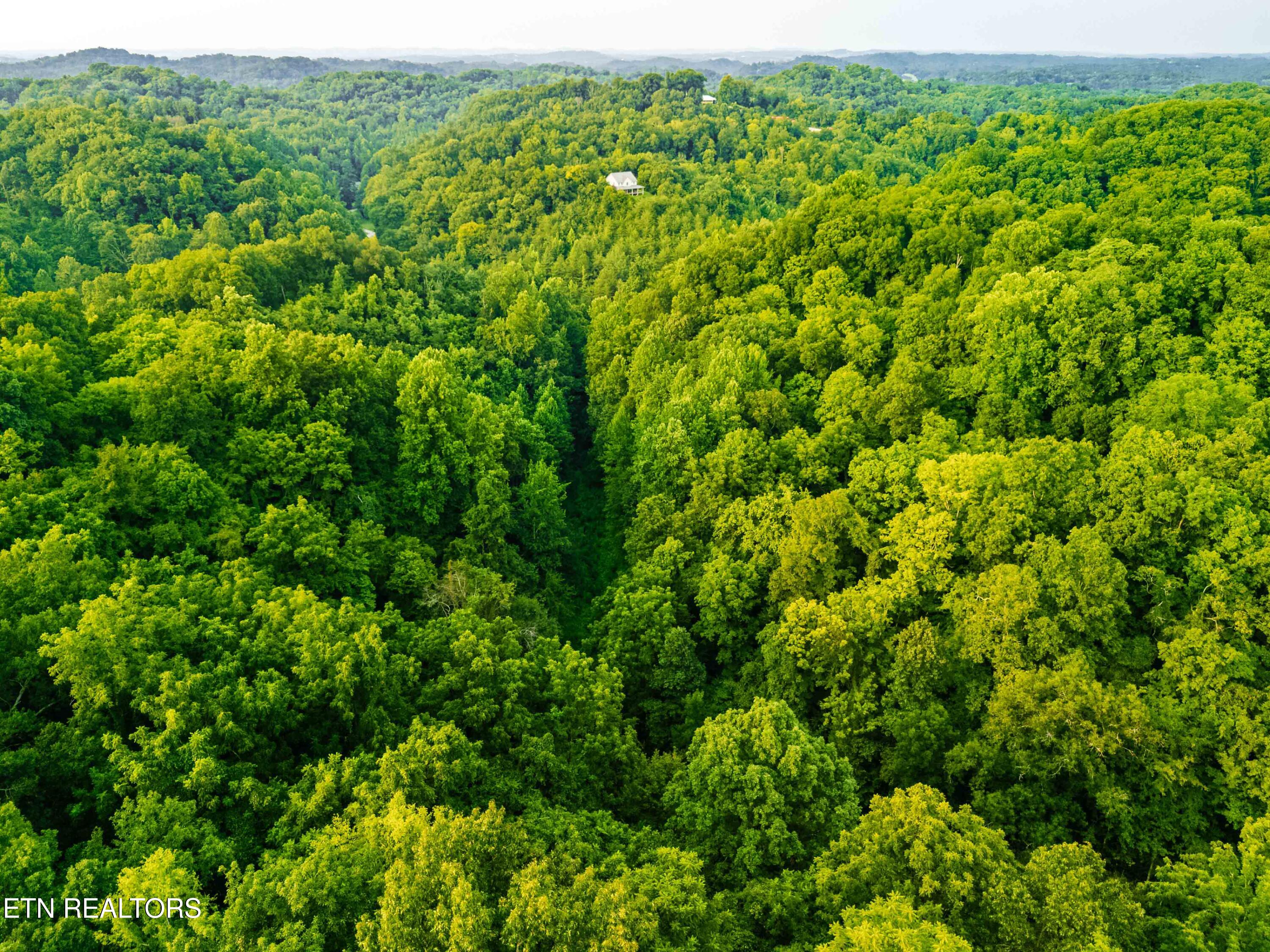 0 Long Branch Road Seymour TN 37865