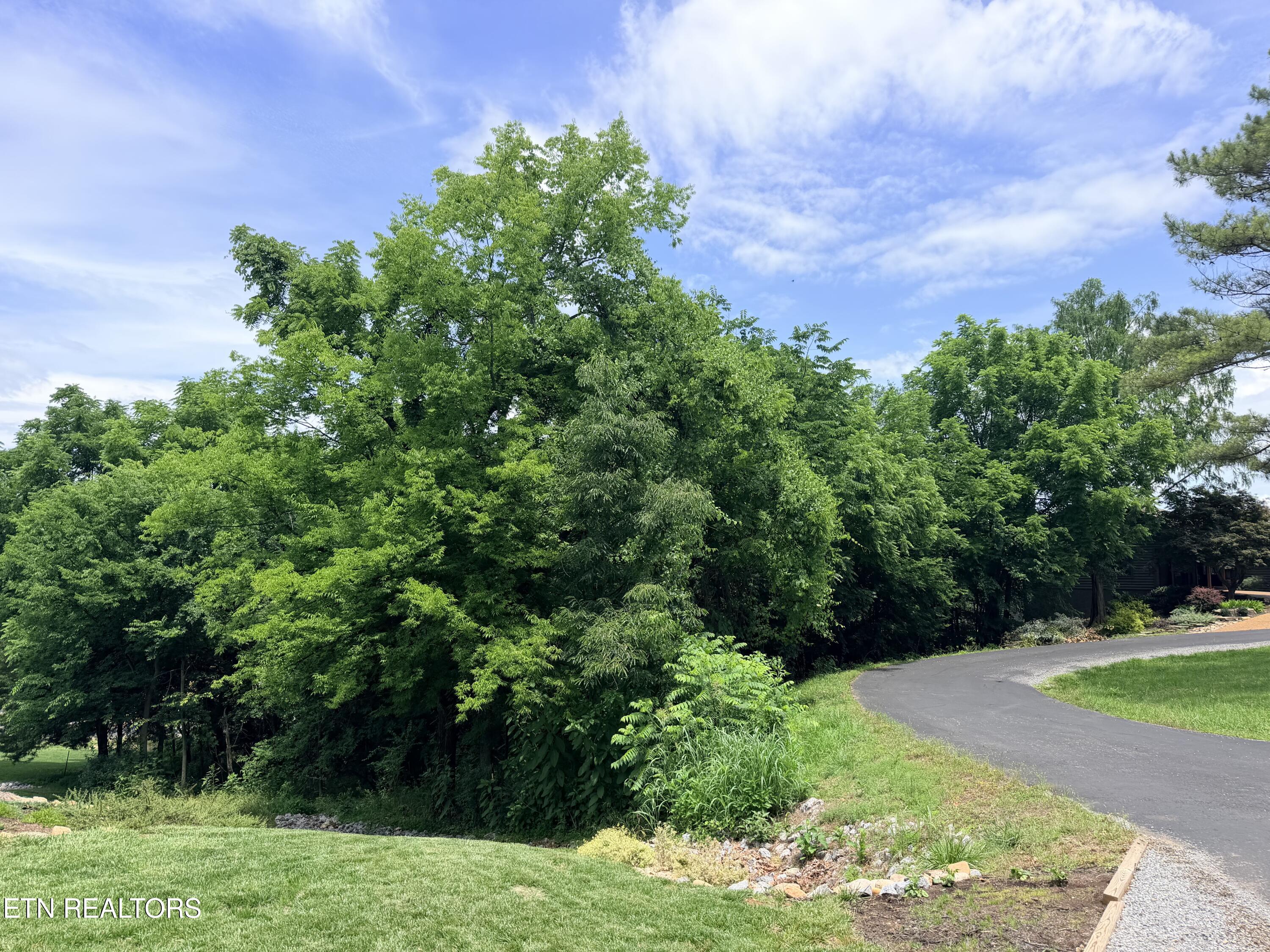112 Alichanoska Lane Loudon TN 37774