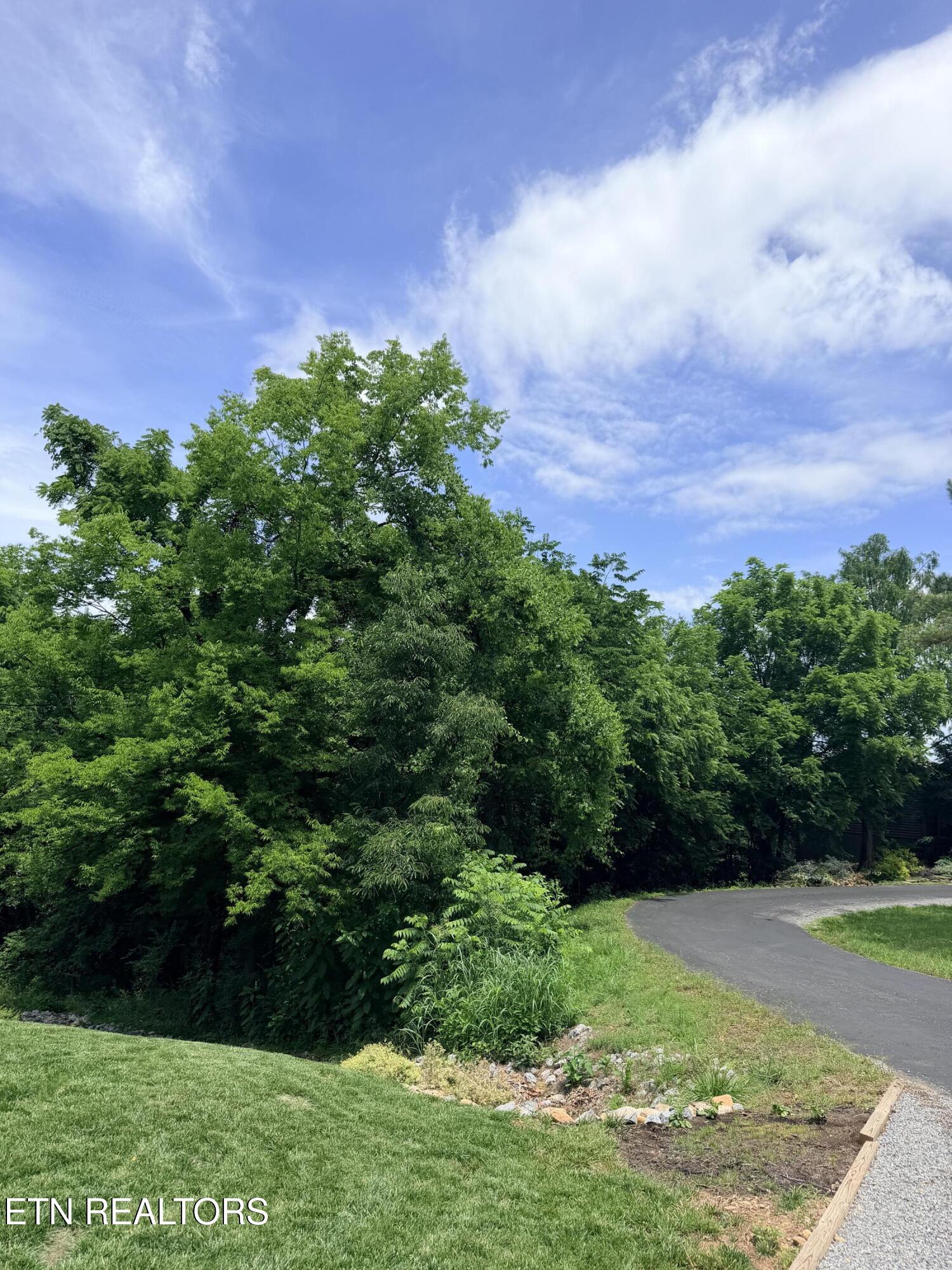 112 Alichanoska Lane Loudon TN 37774