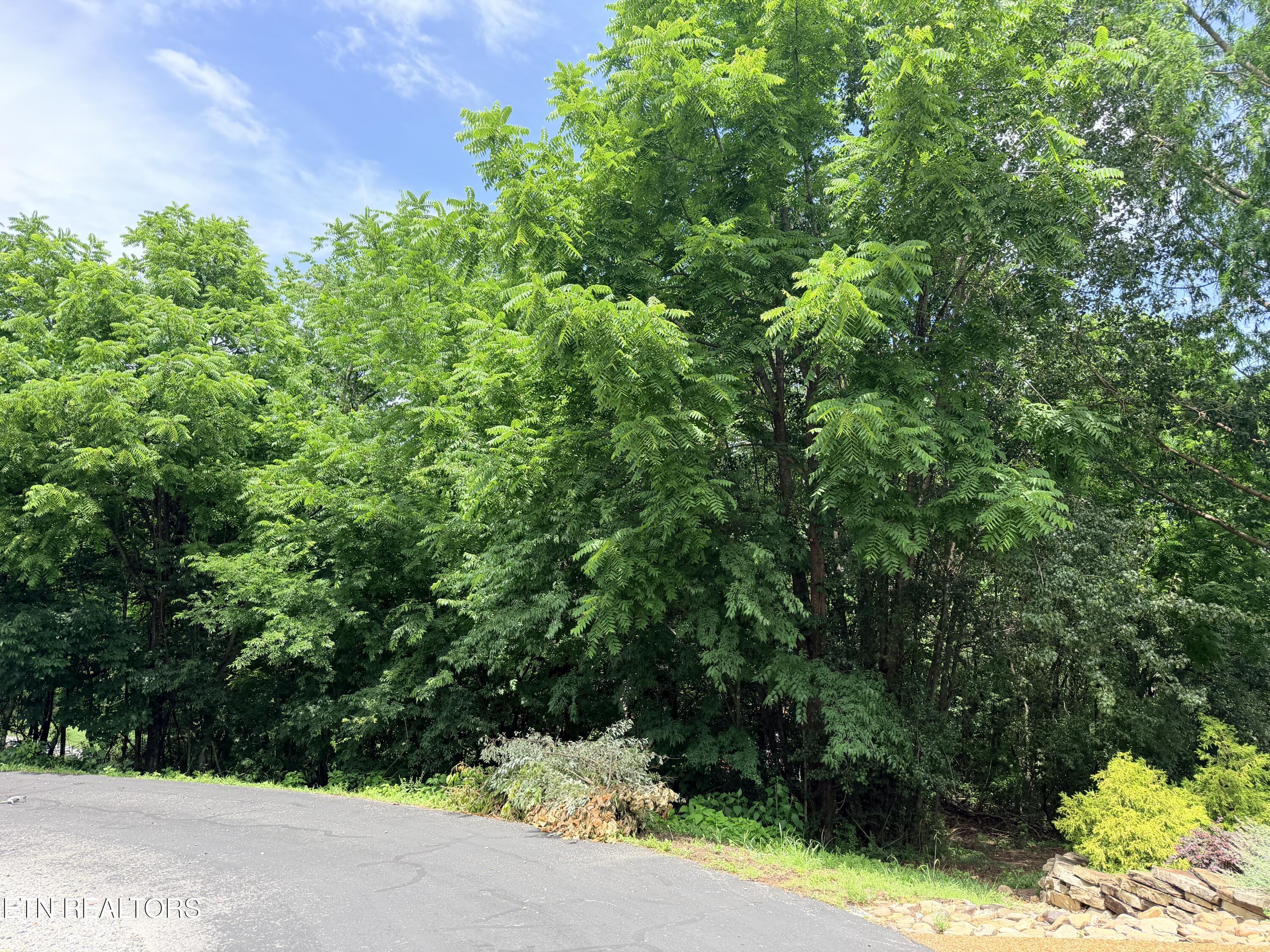 112 Alichanoska Lane Loudon TN 37774