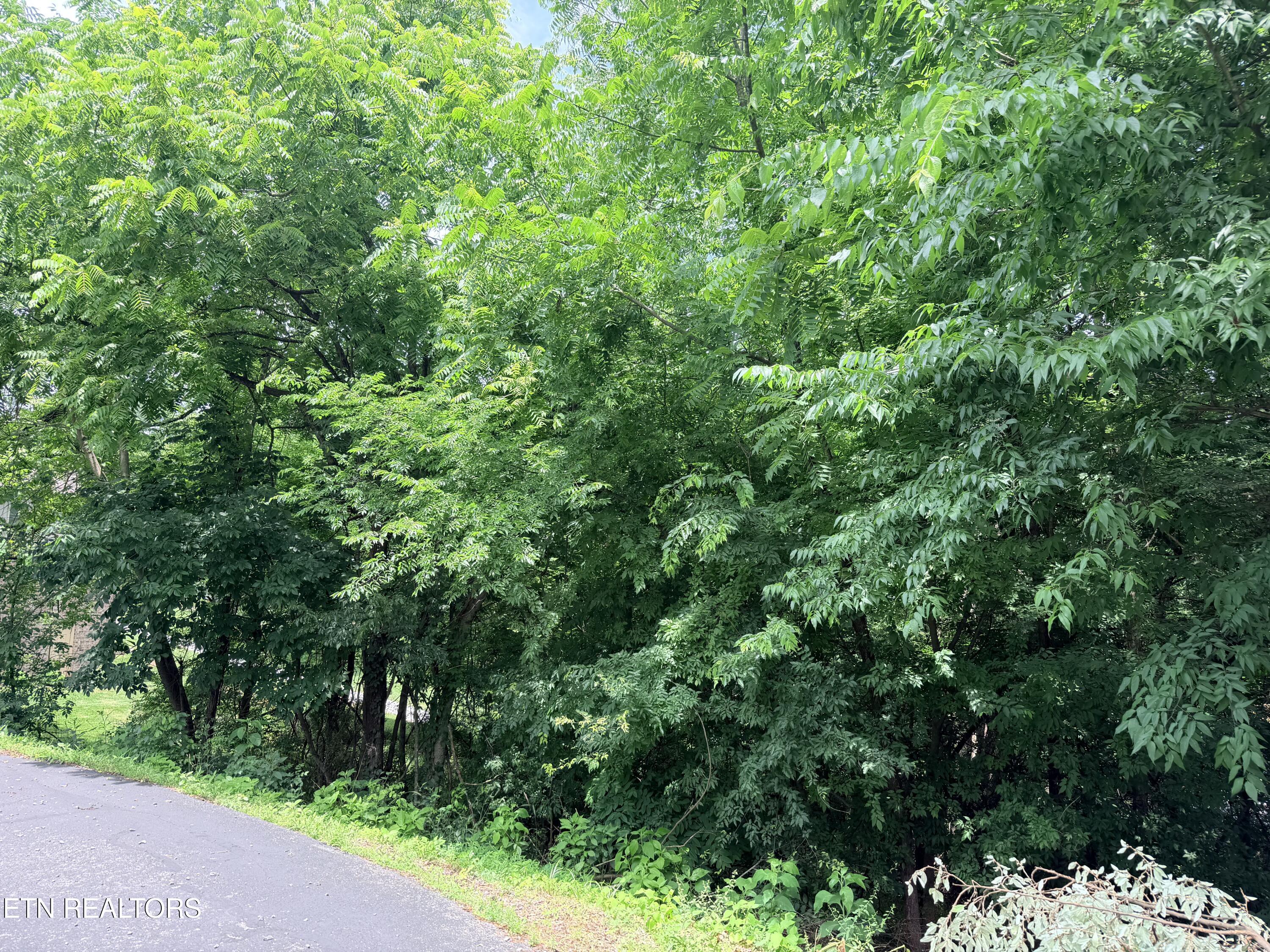 112 Alichanoska Lane Loudon TN 37774