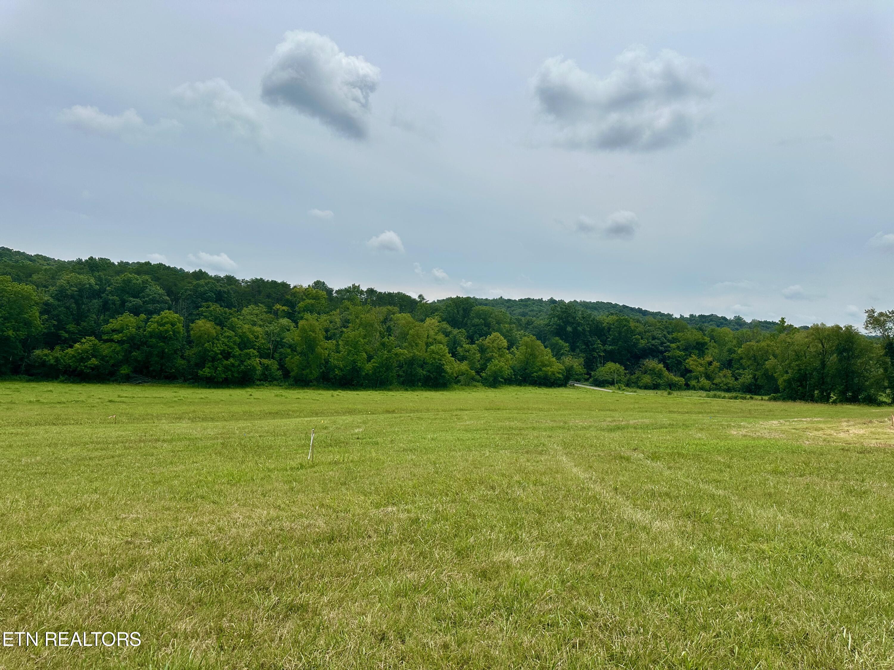 Lot 7 Rutledge Pike Blaine TN 37709