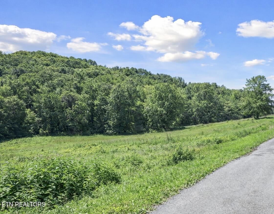 1.9 Acres Cecil Davis Road Greeneville TN 37743
