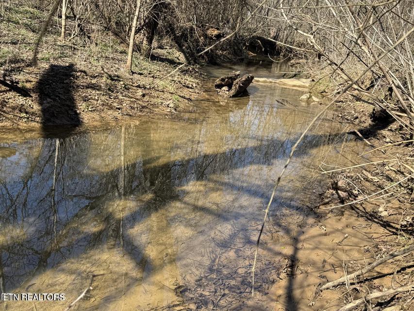 W Union Valley Road Seymour TN 37865