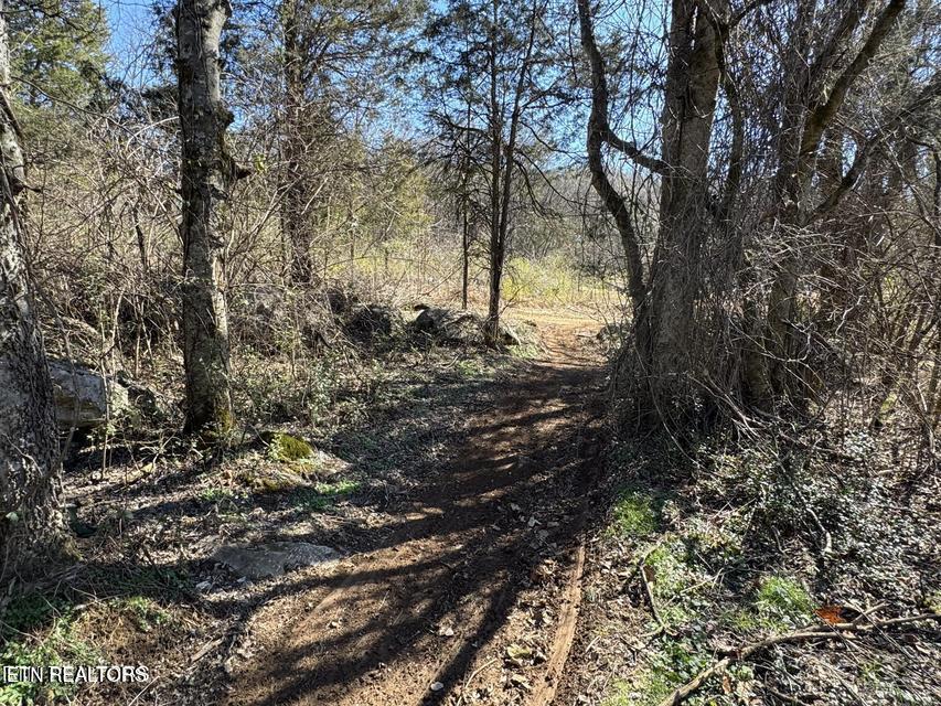 W Union Valley Road Seymour TN 37865
