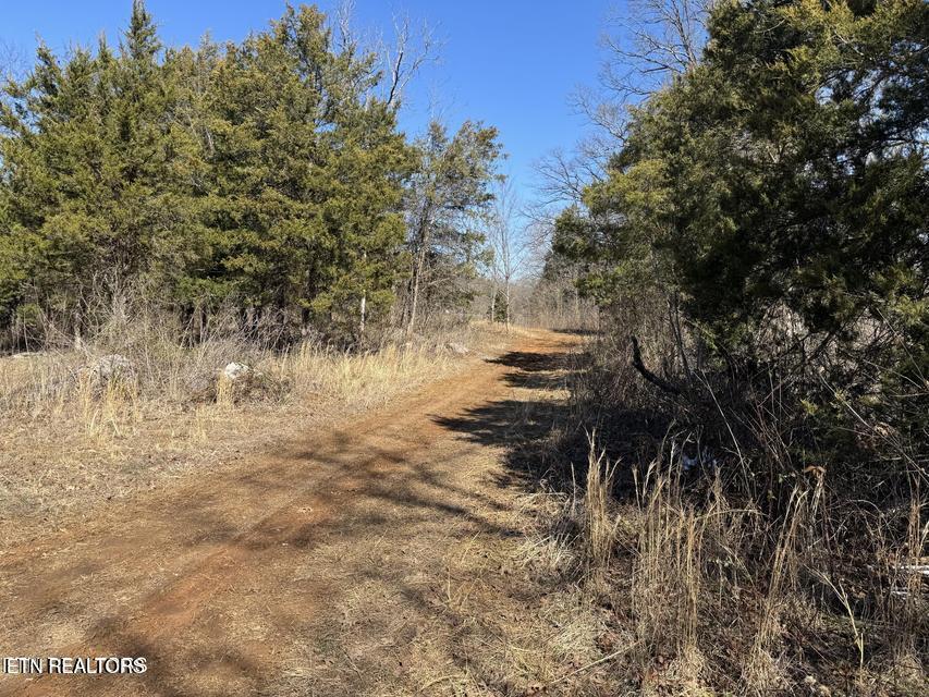 W Union Valley Road Seymour TN 37865