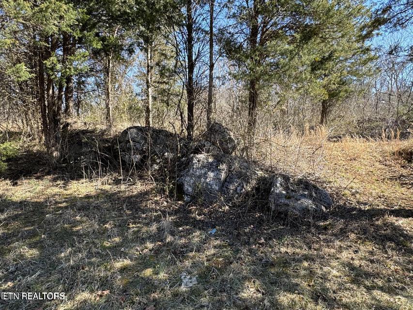 W Union Valley Road Seymour TN 37865