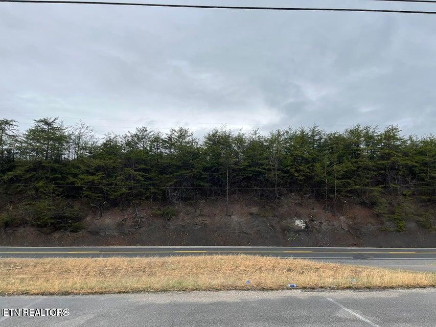 0 Alberta Street Oneida TN 37841