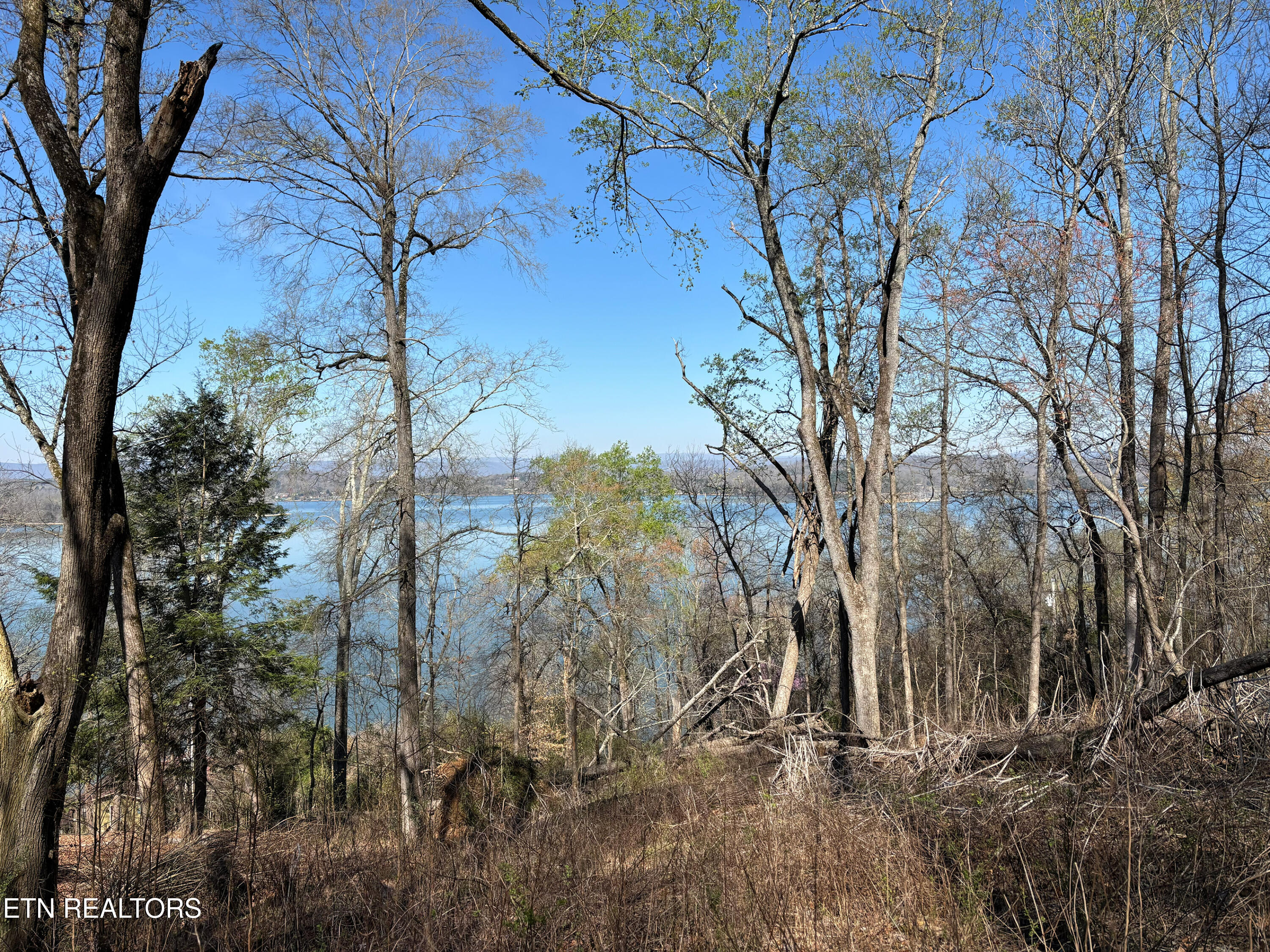 Lot 38 Johnson Lane Ten Mile TN 37880