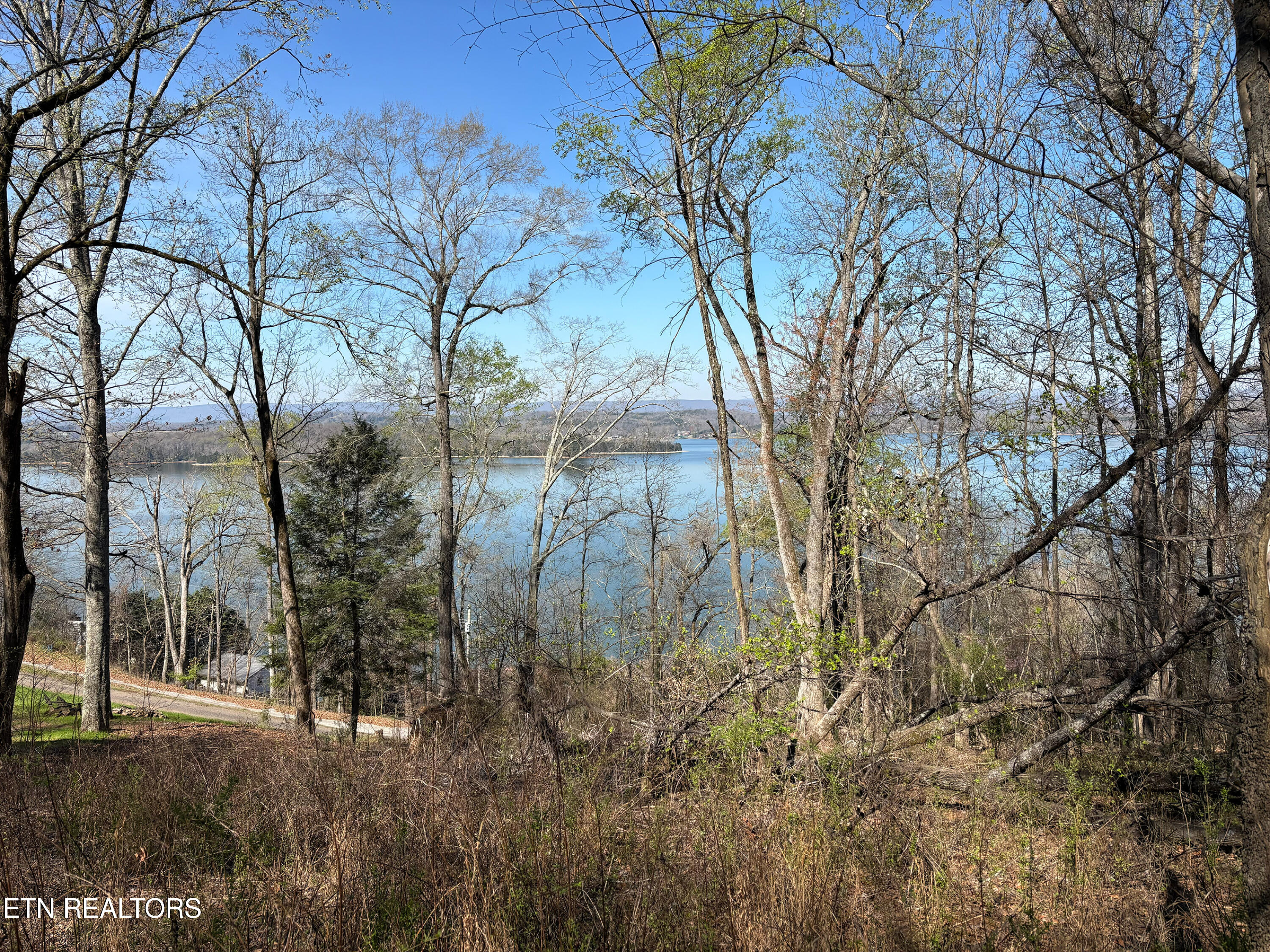 Lot 38 Johnson Lane Ten Mile TN 37880