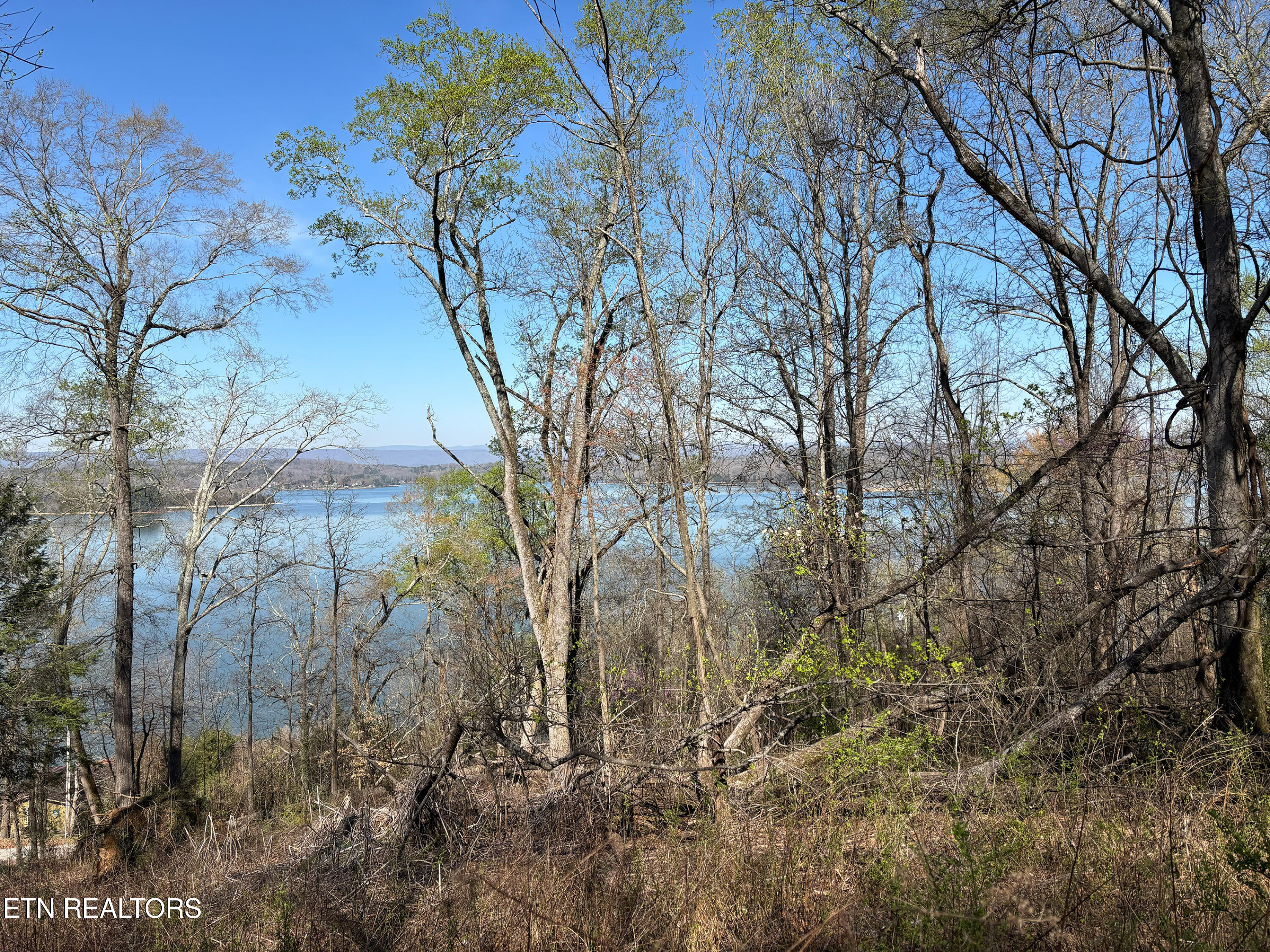 Lot 38 Johnson Lane Ten Mile TN 37880