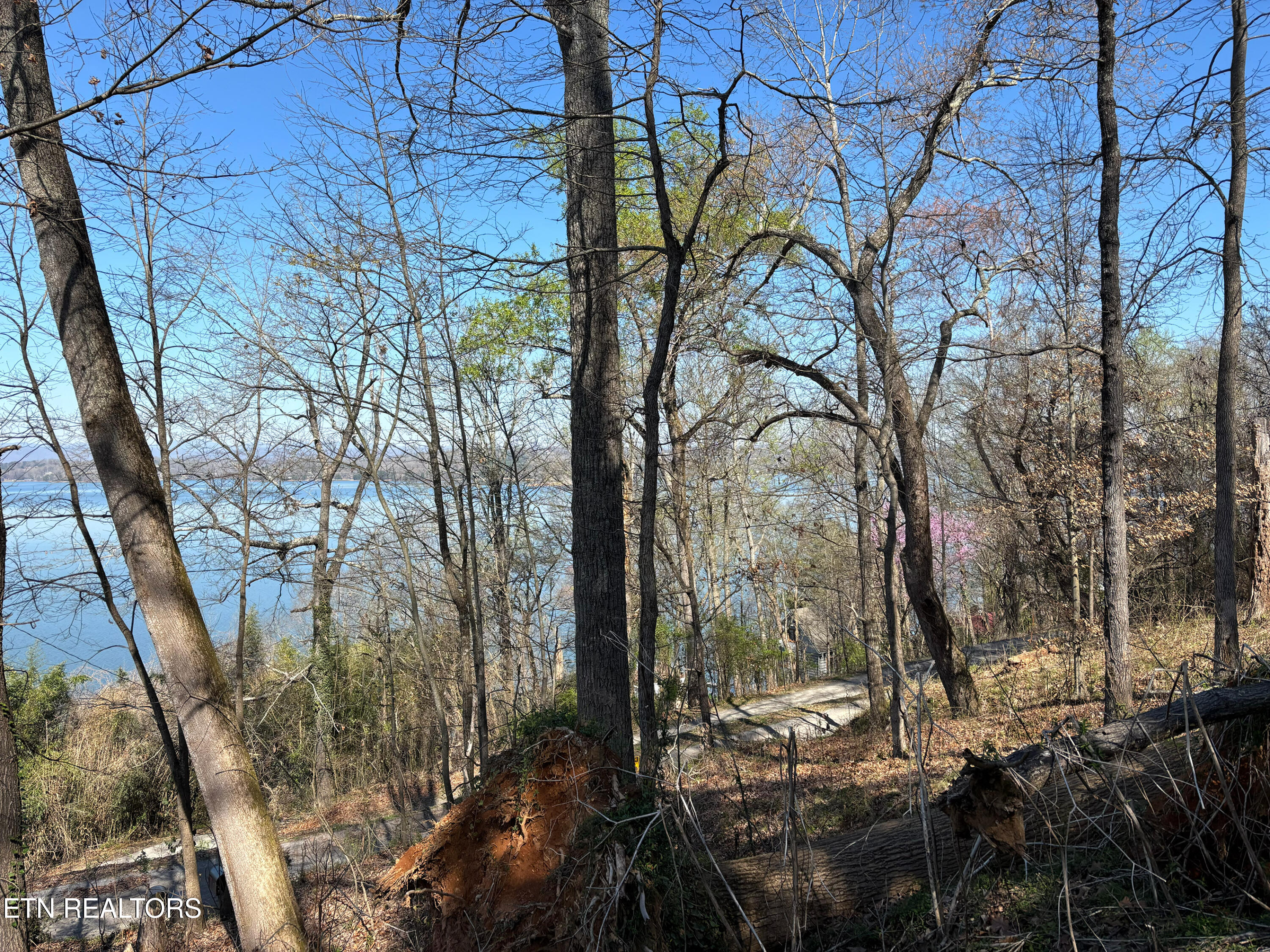 Lot 38 Johnson Lane Ten Mile TN 37880
